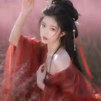 汉服/古风