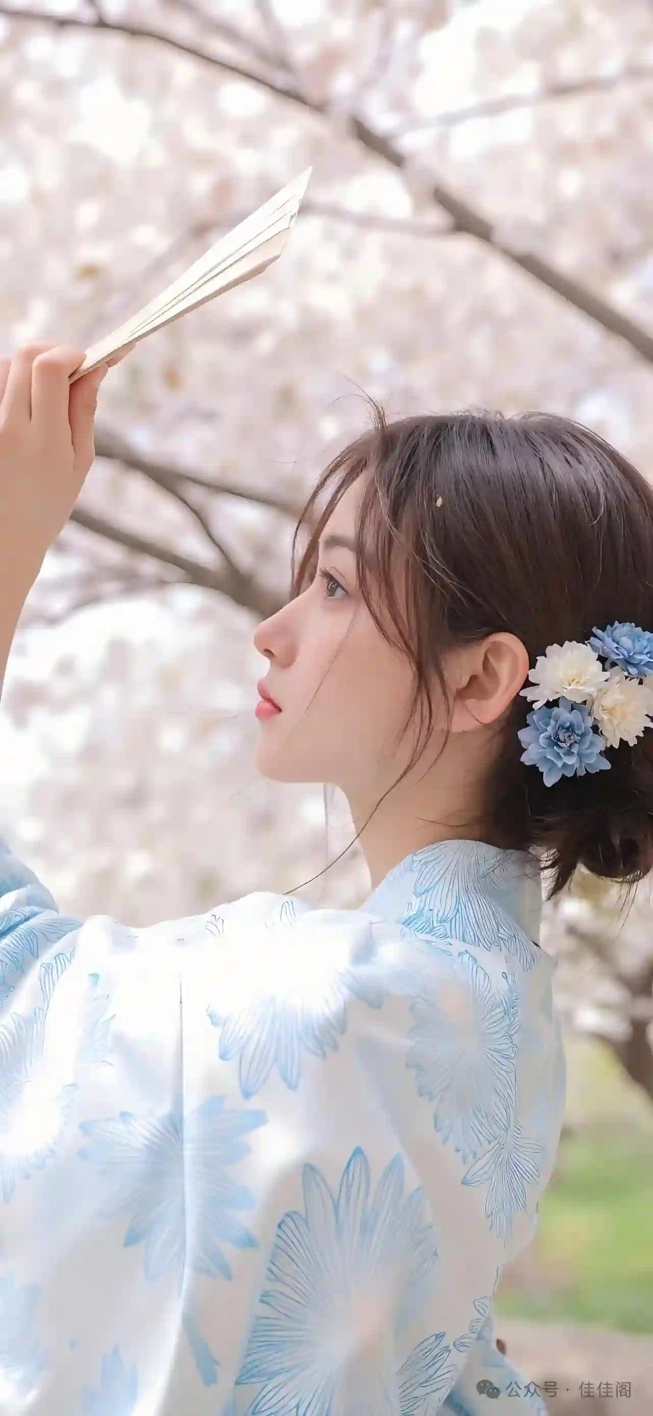 唯美风格 和服女孩 和服 樱花