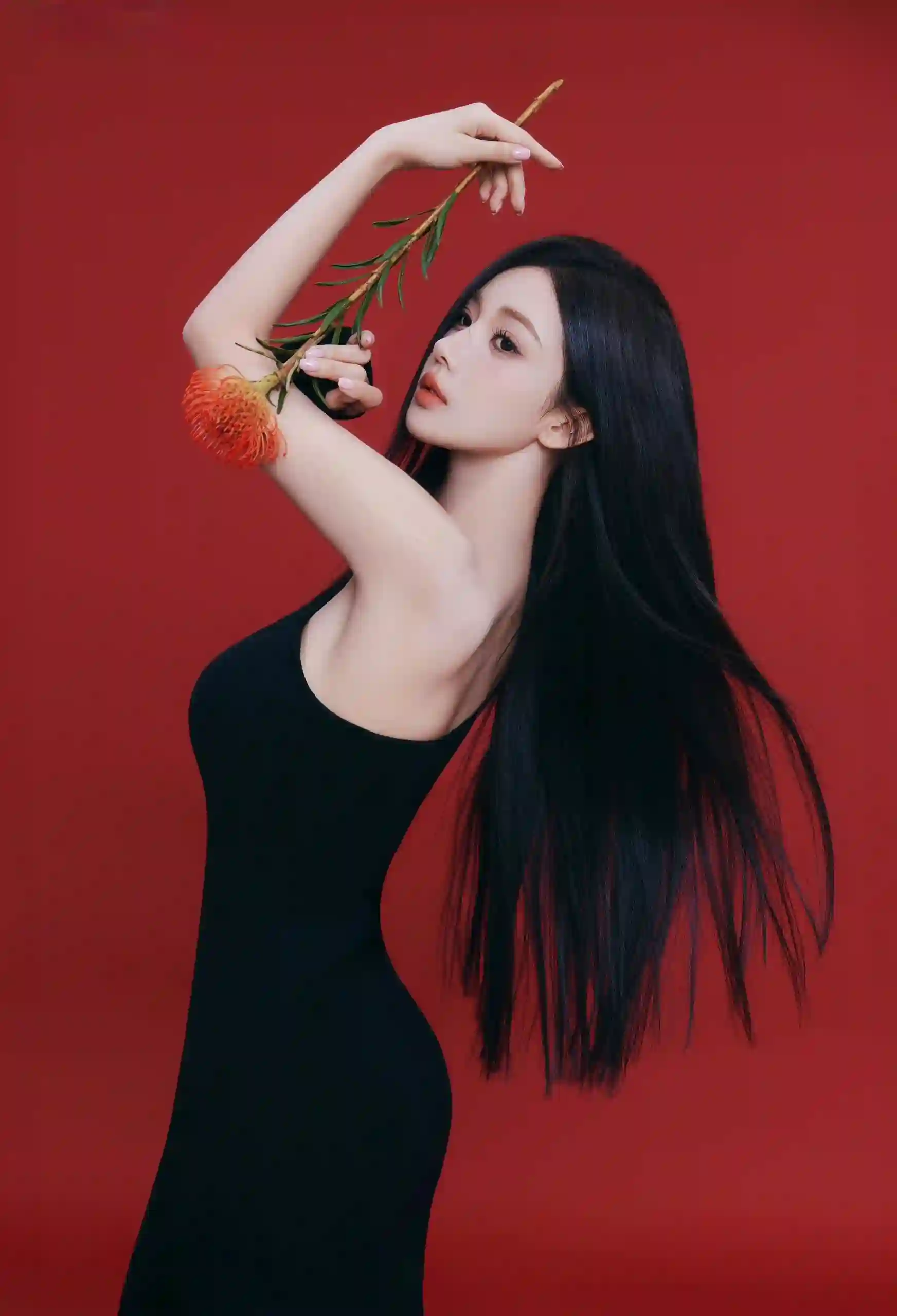 红色背景 长发美女 玫瑰女孩 黑裙美女 长腿美女