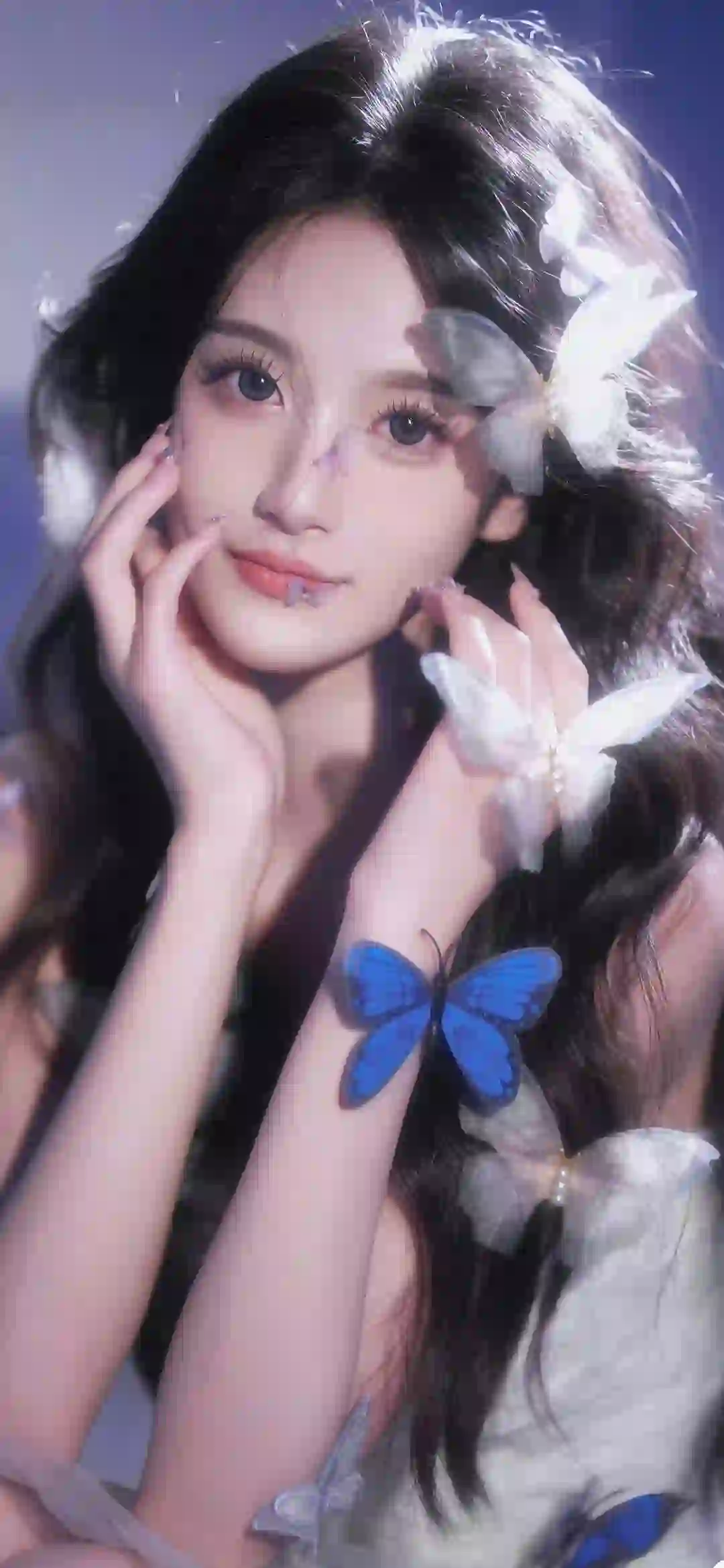 甜美女孩 蝴蝶 蓝色蝴蝶