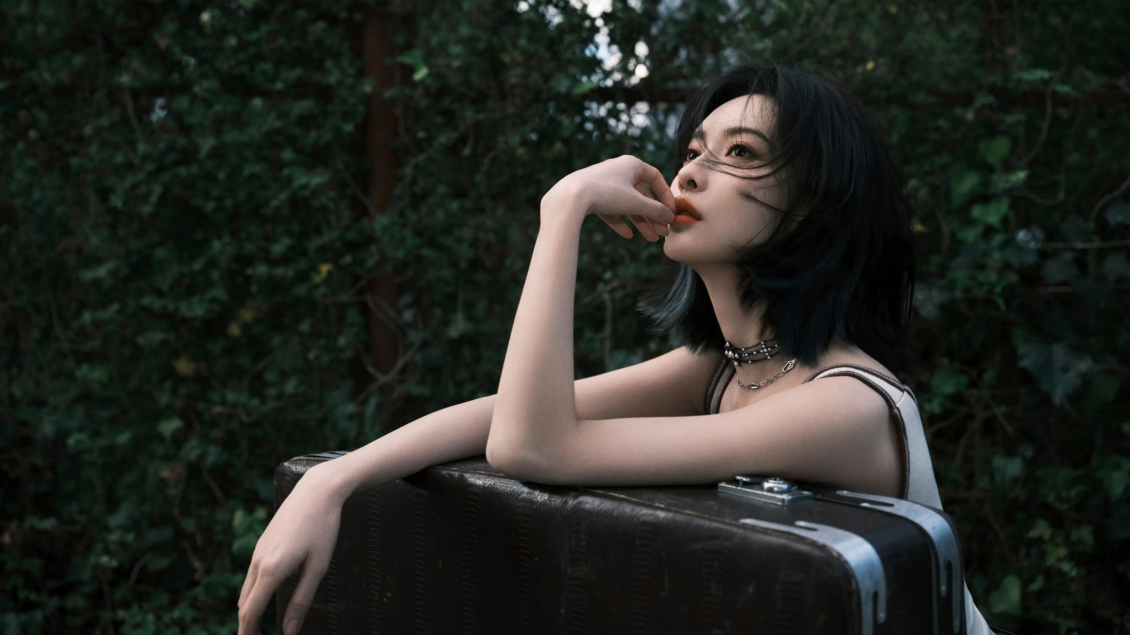 孟子义 旅行 行李箱美女 4K壁纸