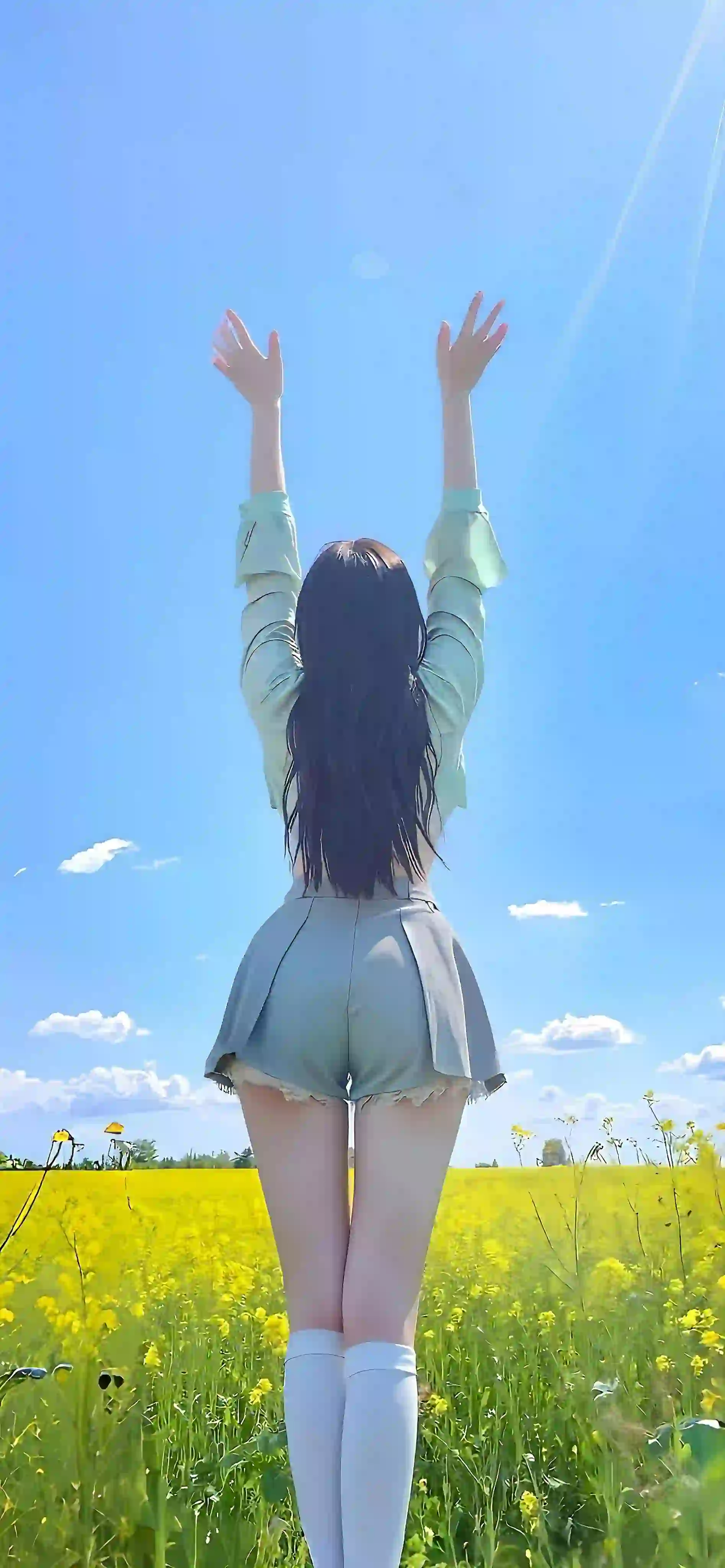 金灿灿的油菜花 长发美女 背影 白色丝袜 