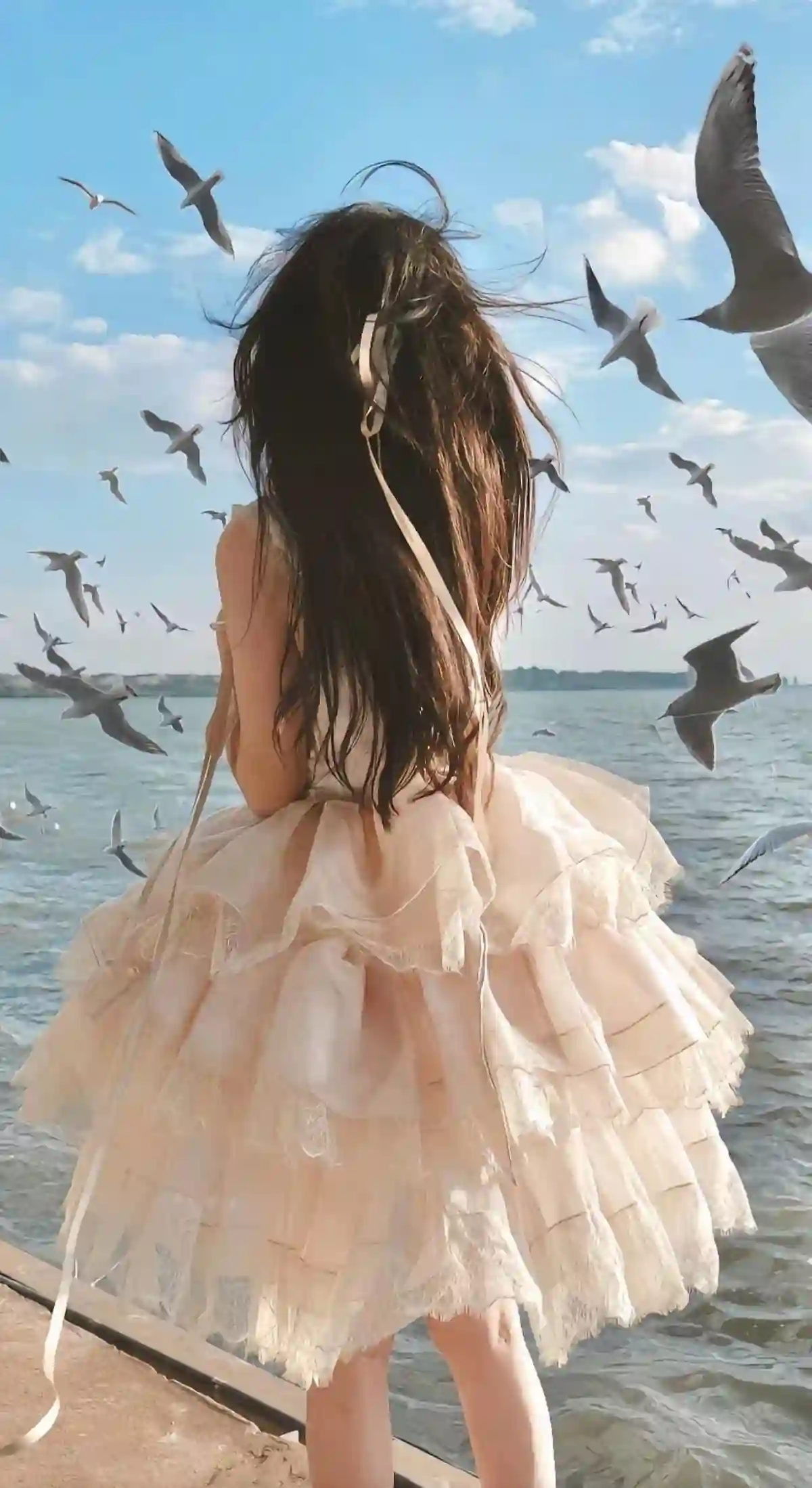 美女背影 白色裙子 海边 海鸥 白色发带