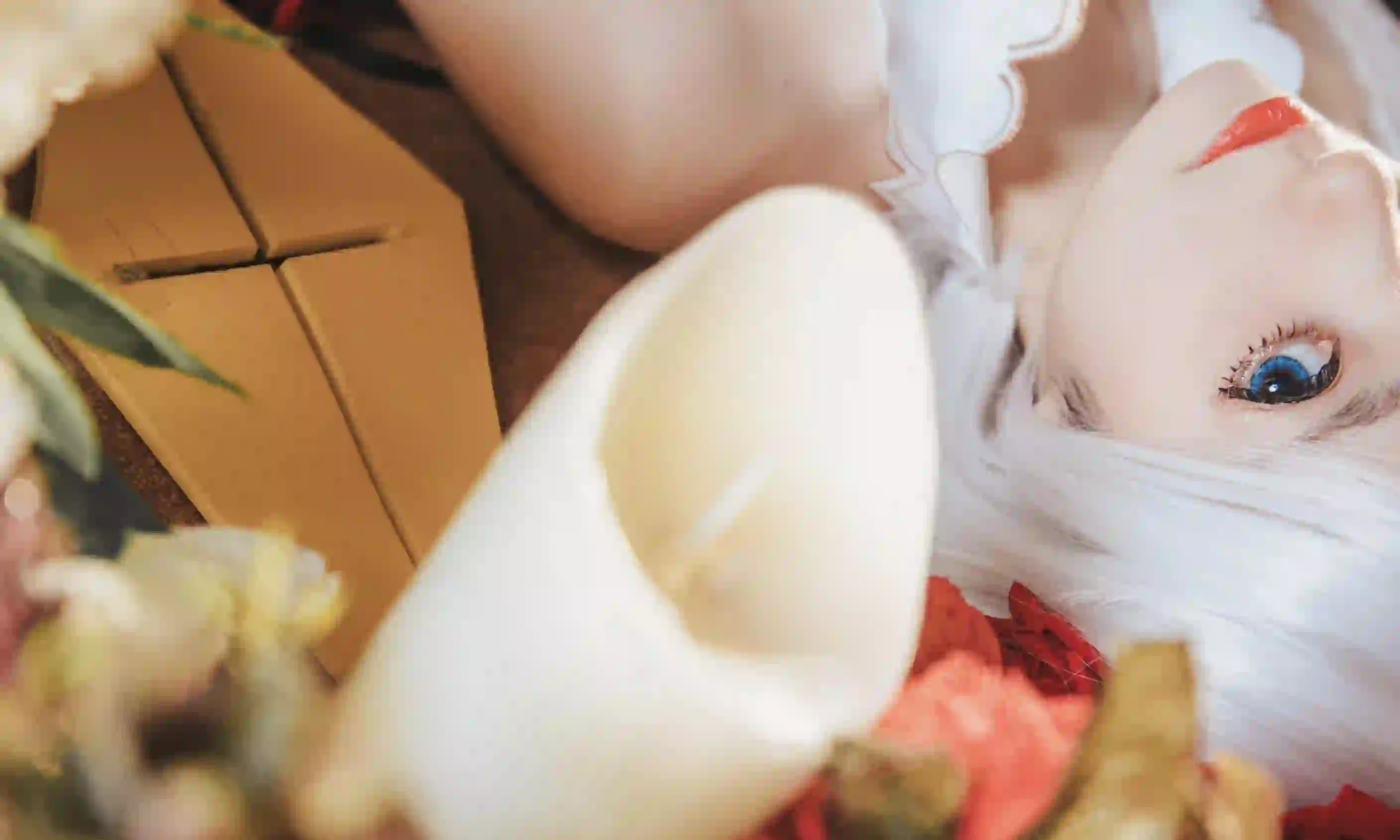 长发美女 白色长发 Coser  侧脸