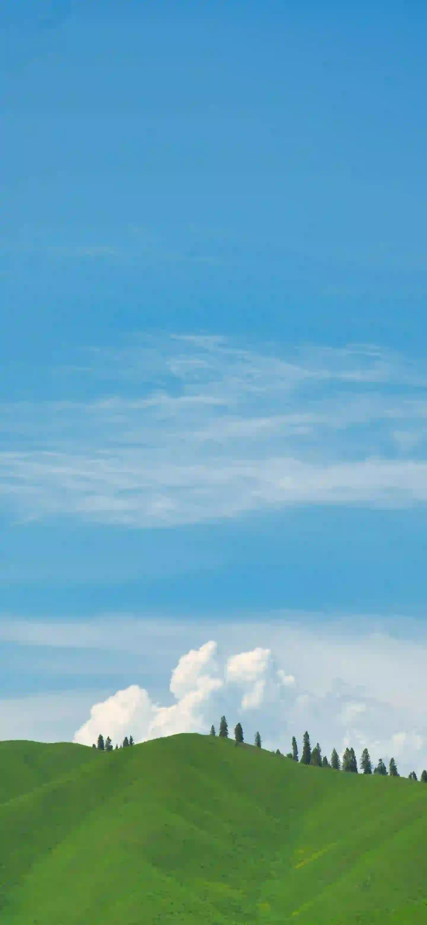 蓝天白云 绿草如茵