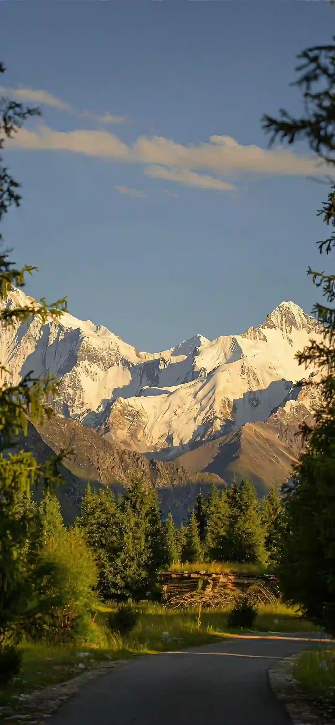 雪山 自然风光 山峦 风景壁纸 阳光 森林小路