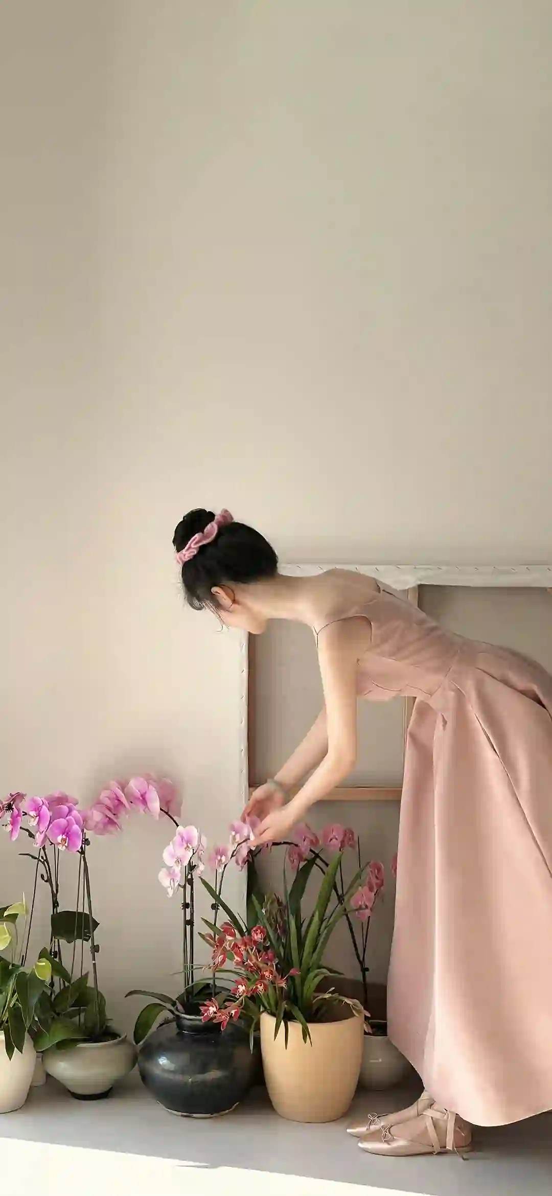 粉色长裙 盘发女子 盆栽兰花 室内打理 优雅暖光 简约居家