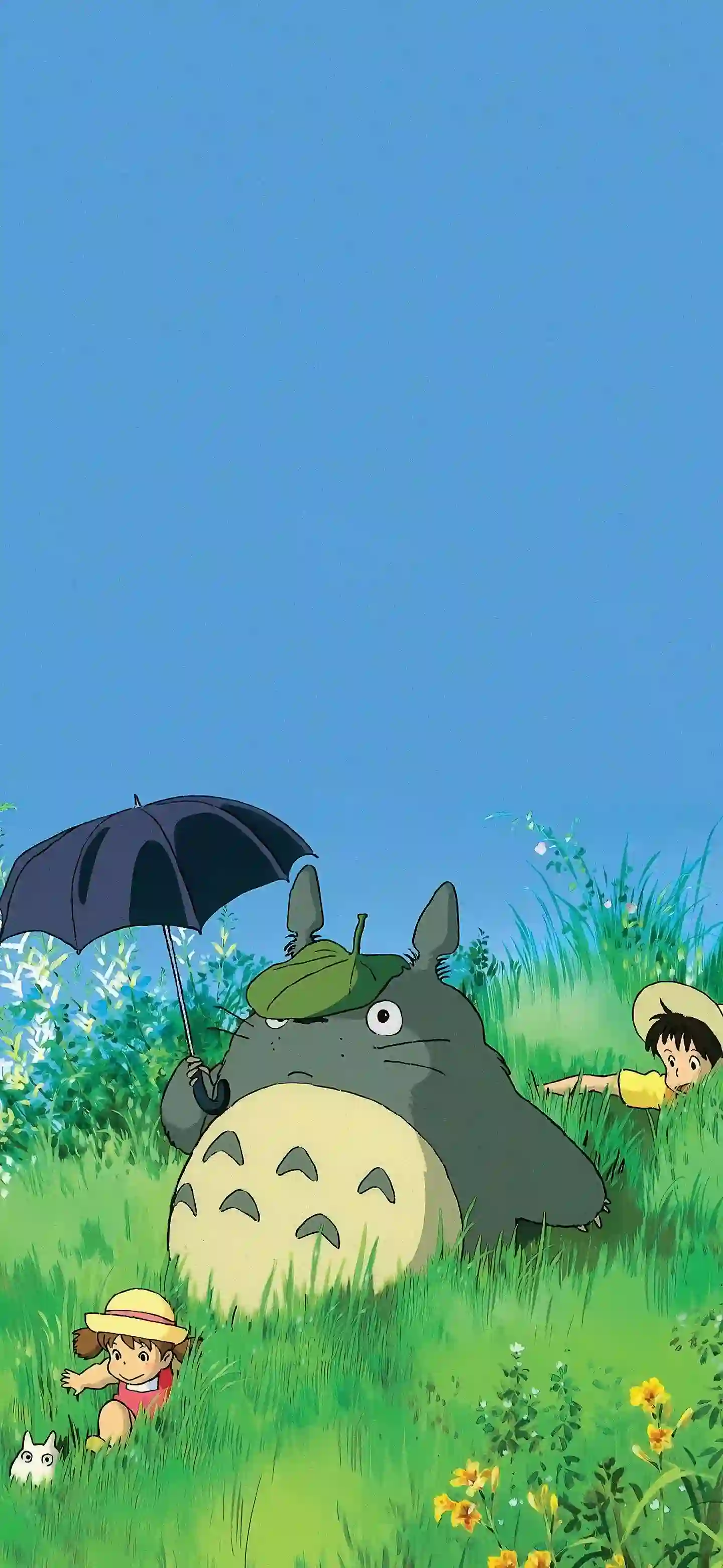 宫崎骏 龙猫 动漫 壁纸