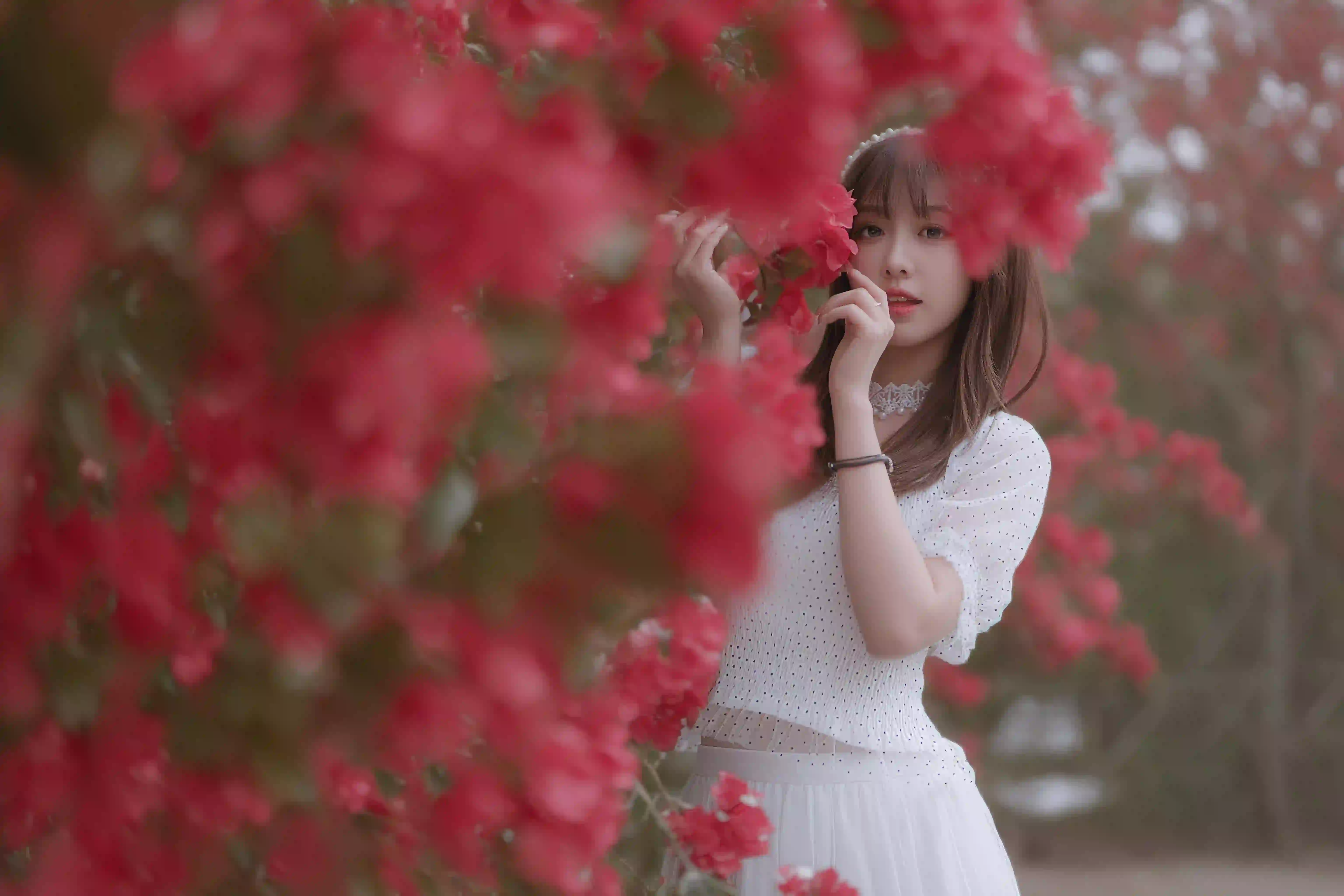 长发美女 白色长裙 户外 鲜花 清纯 自然