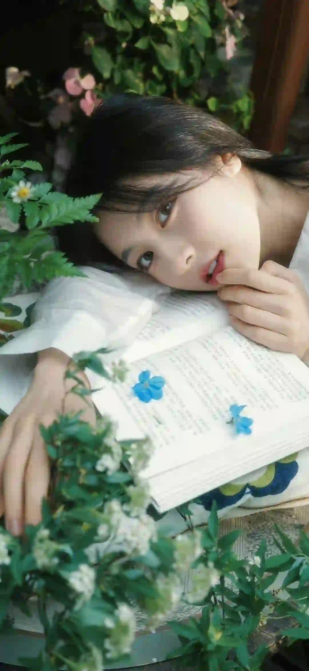森系美女 清纯美女 正在阅读的女孩