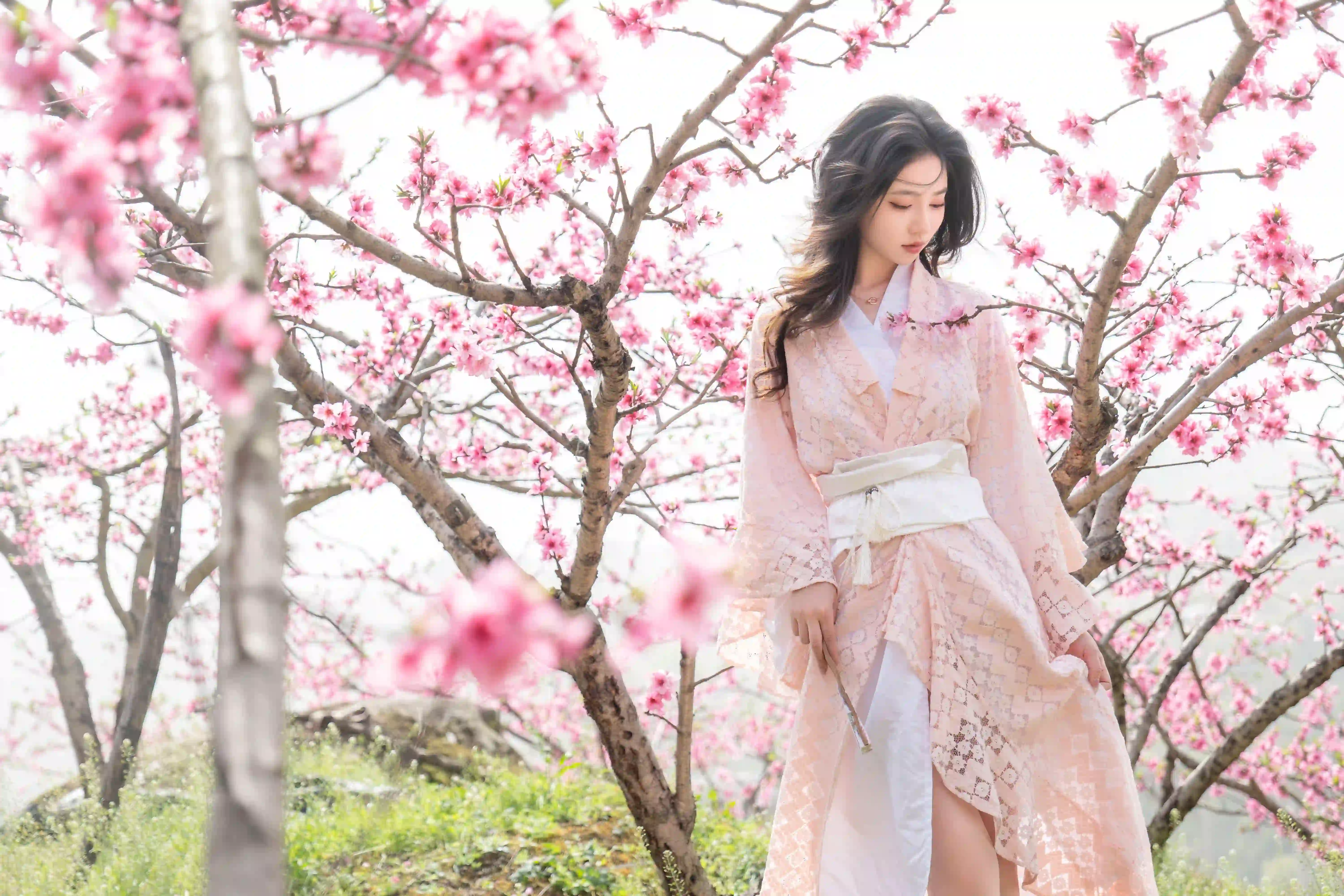 长发性感美女 粉红色和服美女 桃花 户外 桃花林