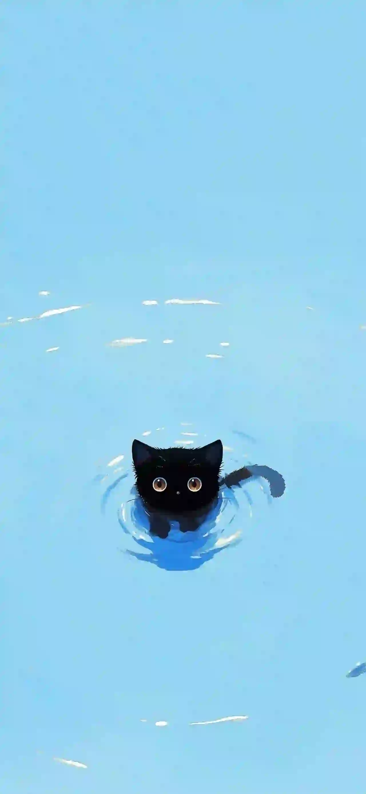 可爱煤球小黑猫 水中小黑猫 