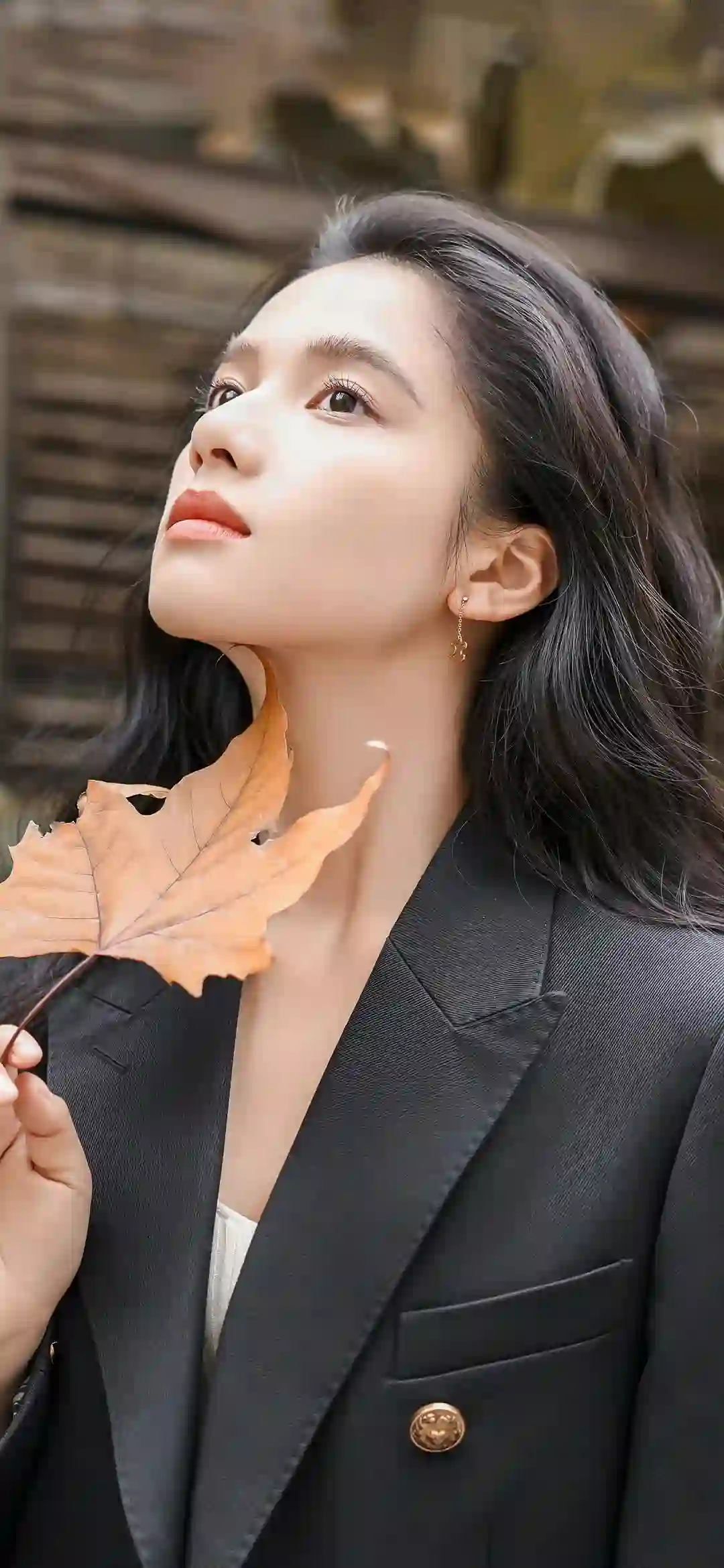 张婧仪 拿着枫叶的西服女孩