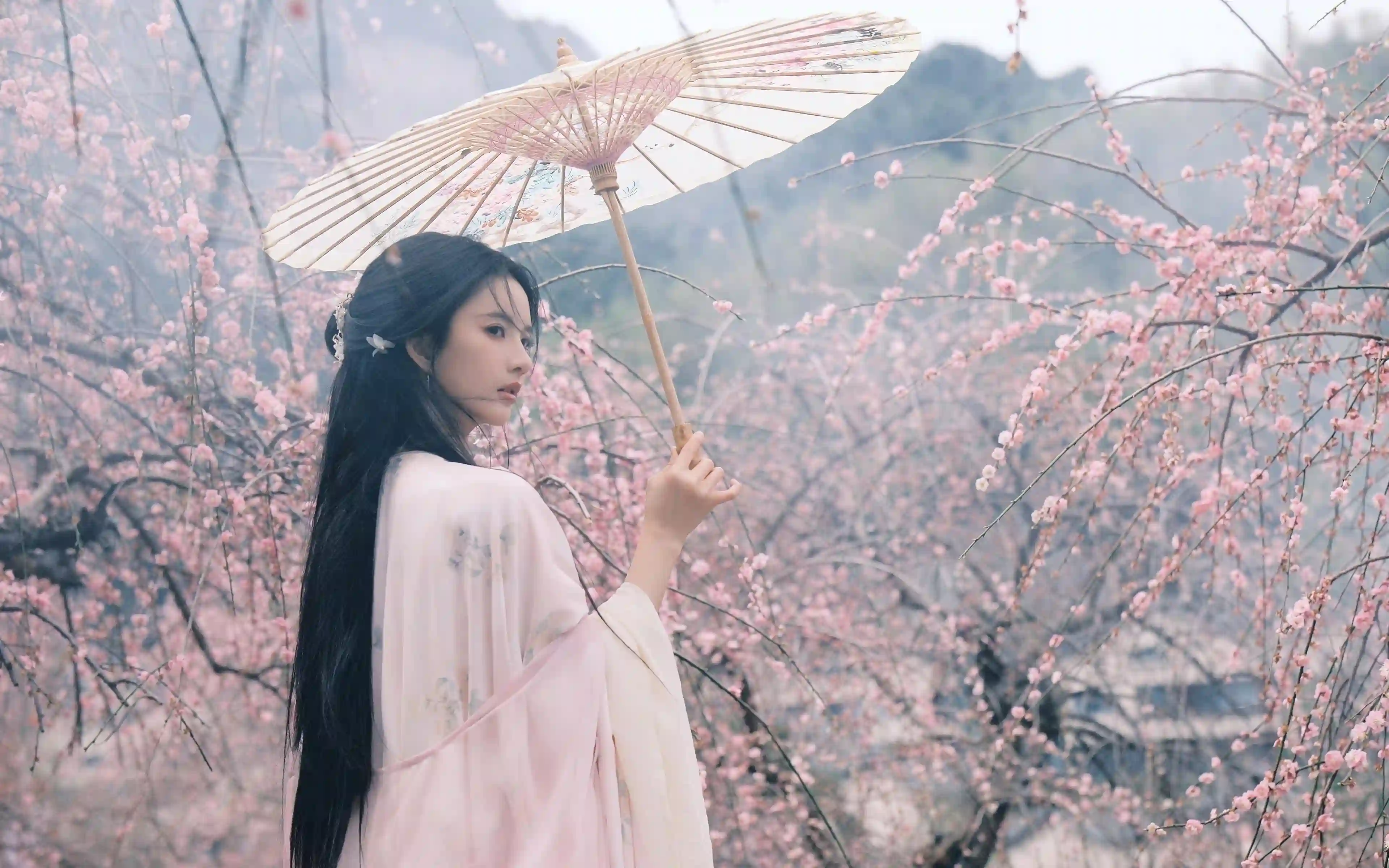 樱花 古风美女 刘些宁 4K电脑壁纸