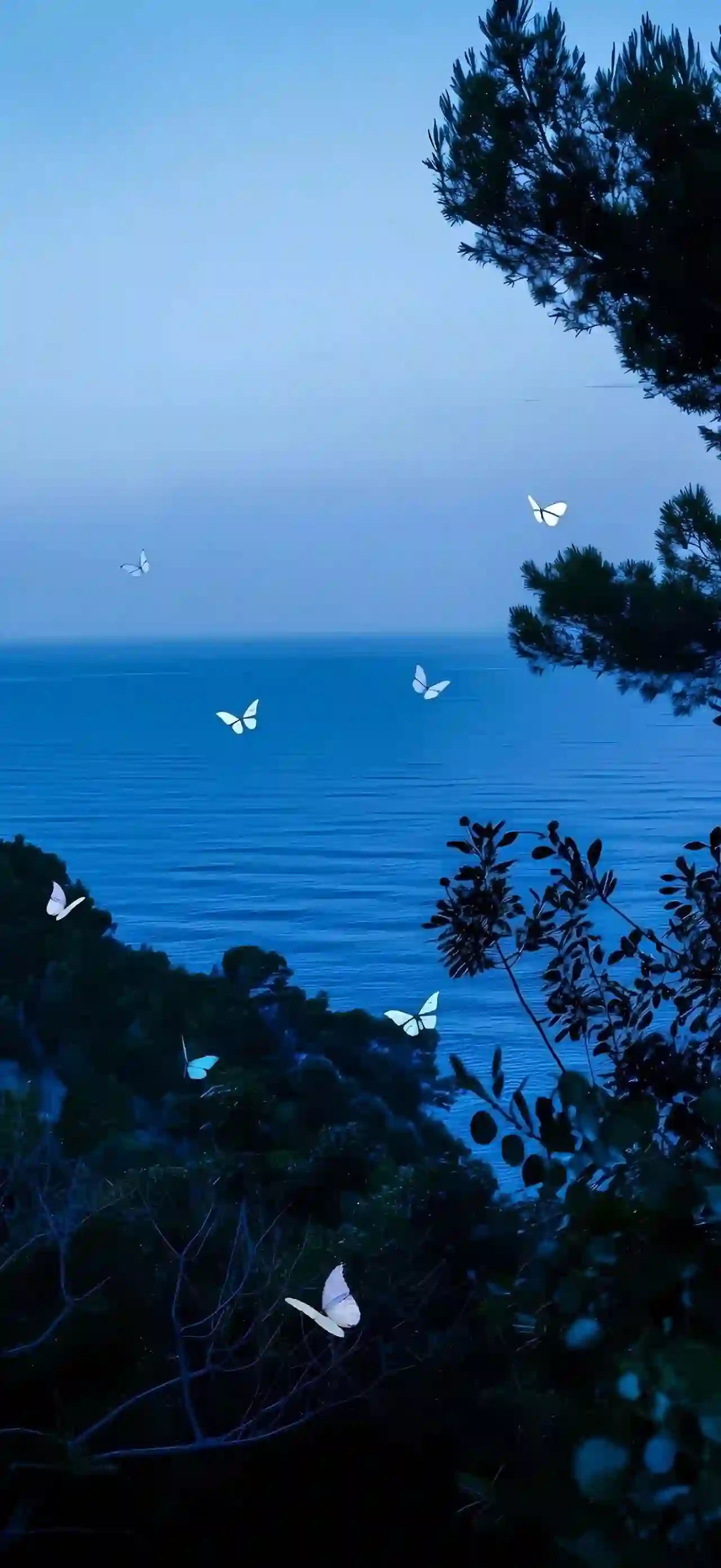 蓝色海边 蝴蝶 风景 治愈 沉静 大海剪影