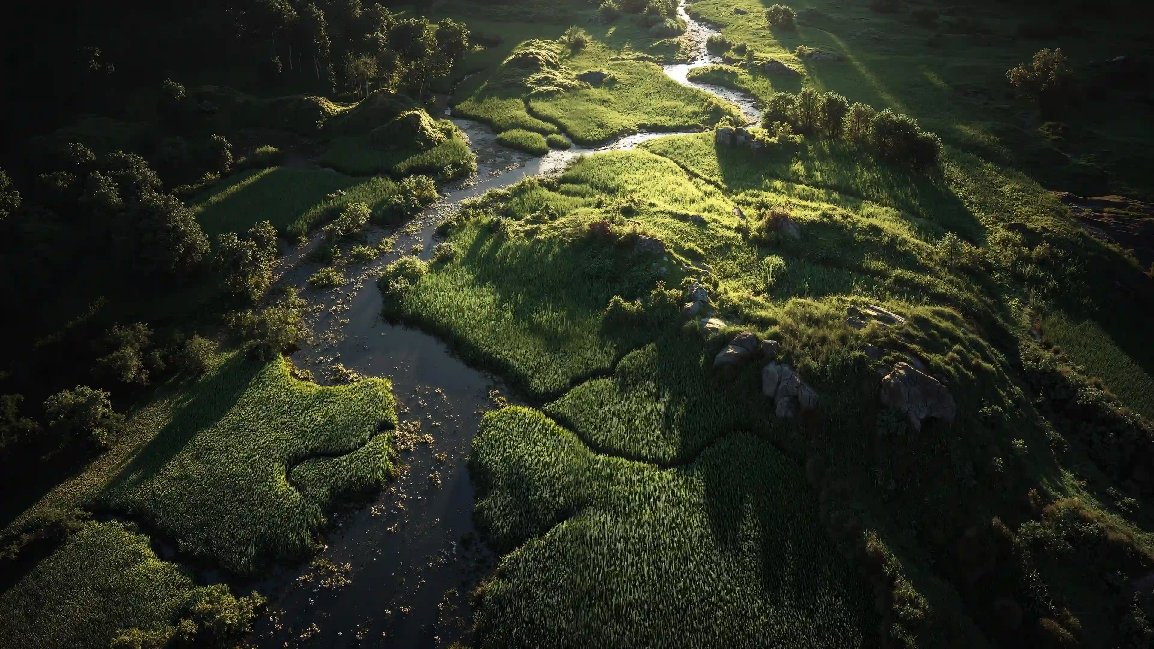 航拍 湿地 溪流 绿色草地 风景壁纸 自然风光