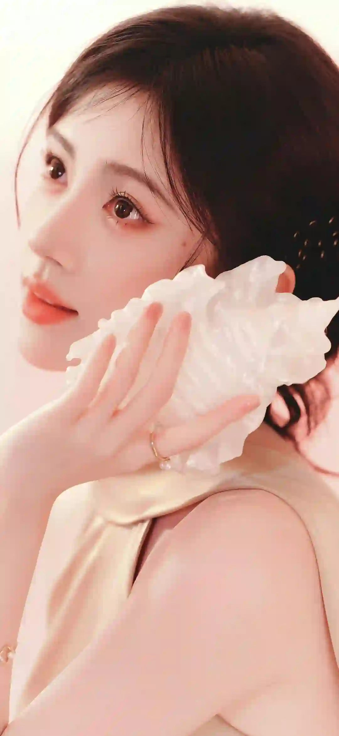海螺 清纯美女 明星壁纸 鞠婧祎