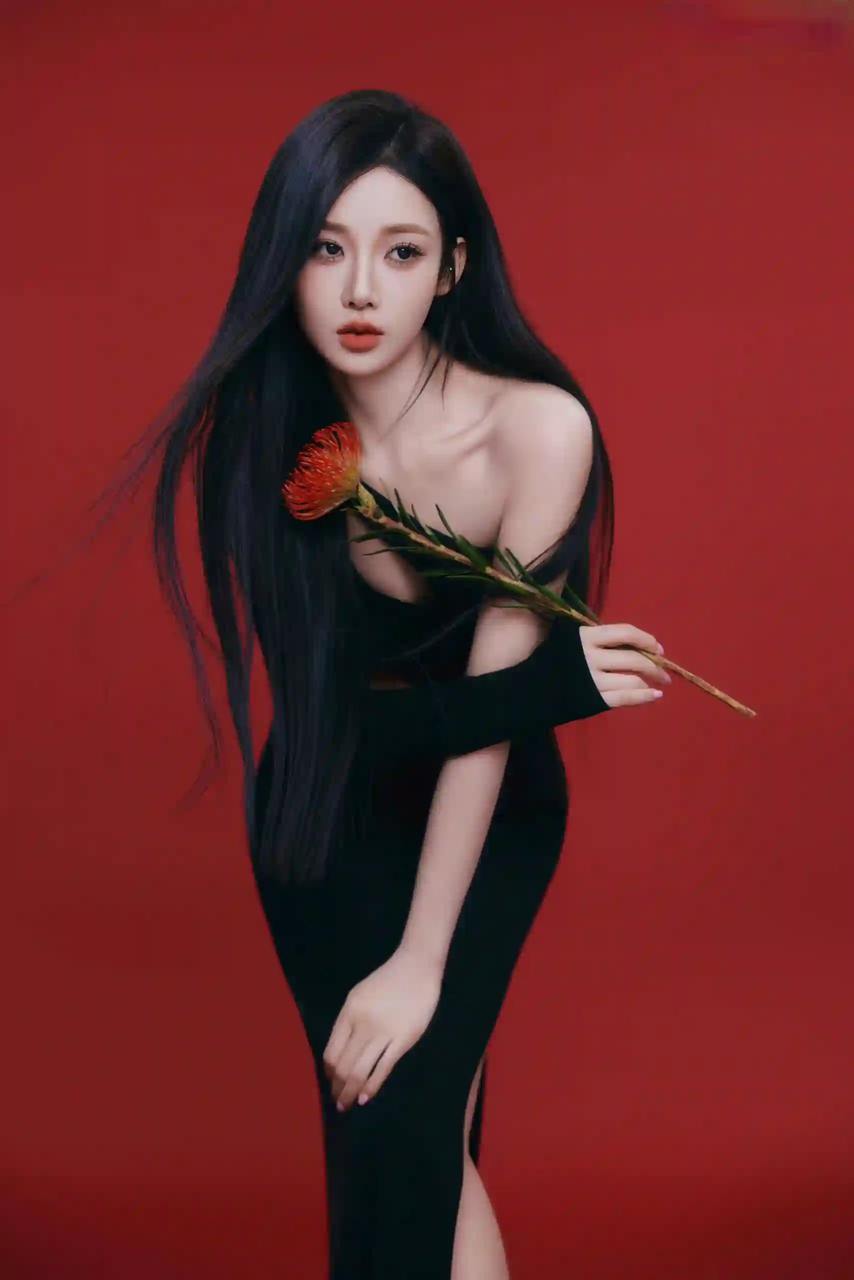 红色背景 长发美女 玫瑰女孩 黑裙美女 长腿美女