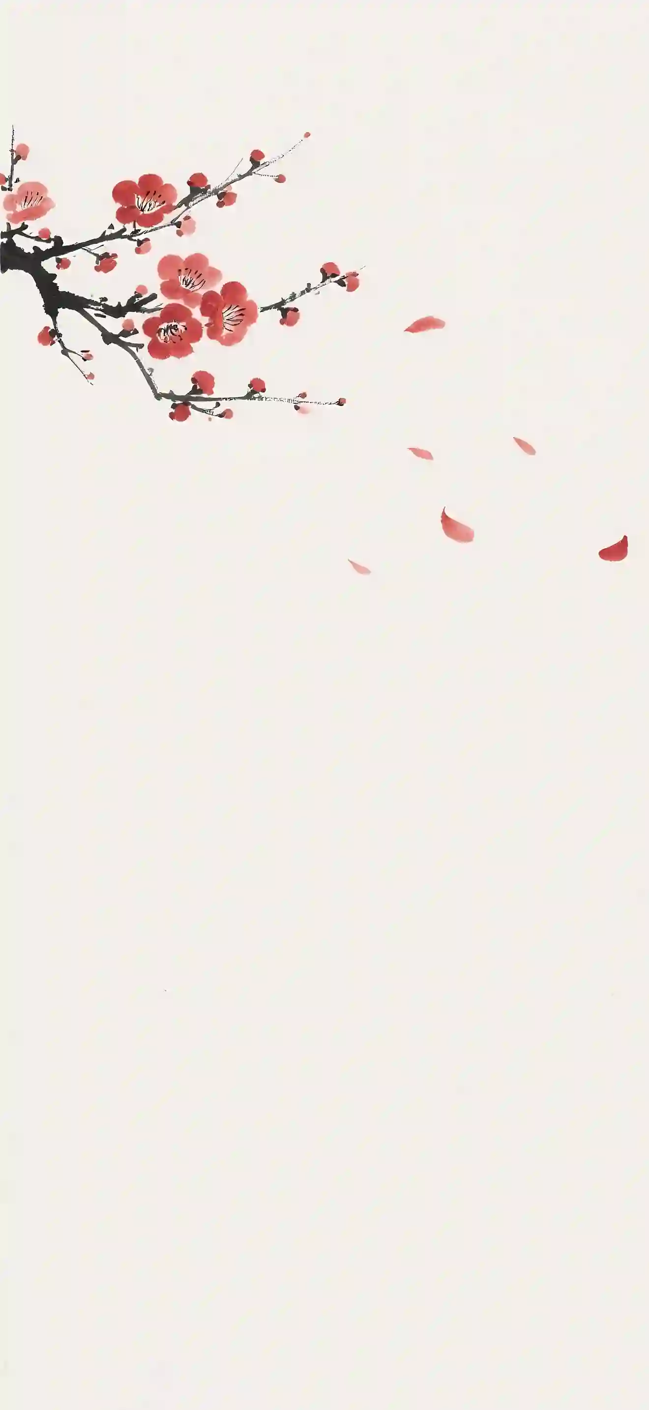 水墨画 梅花 国风 红梅 极简 落瓣