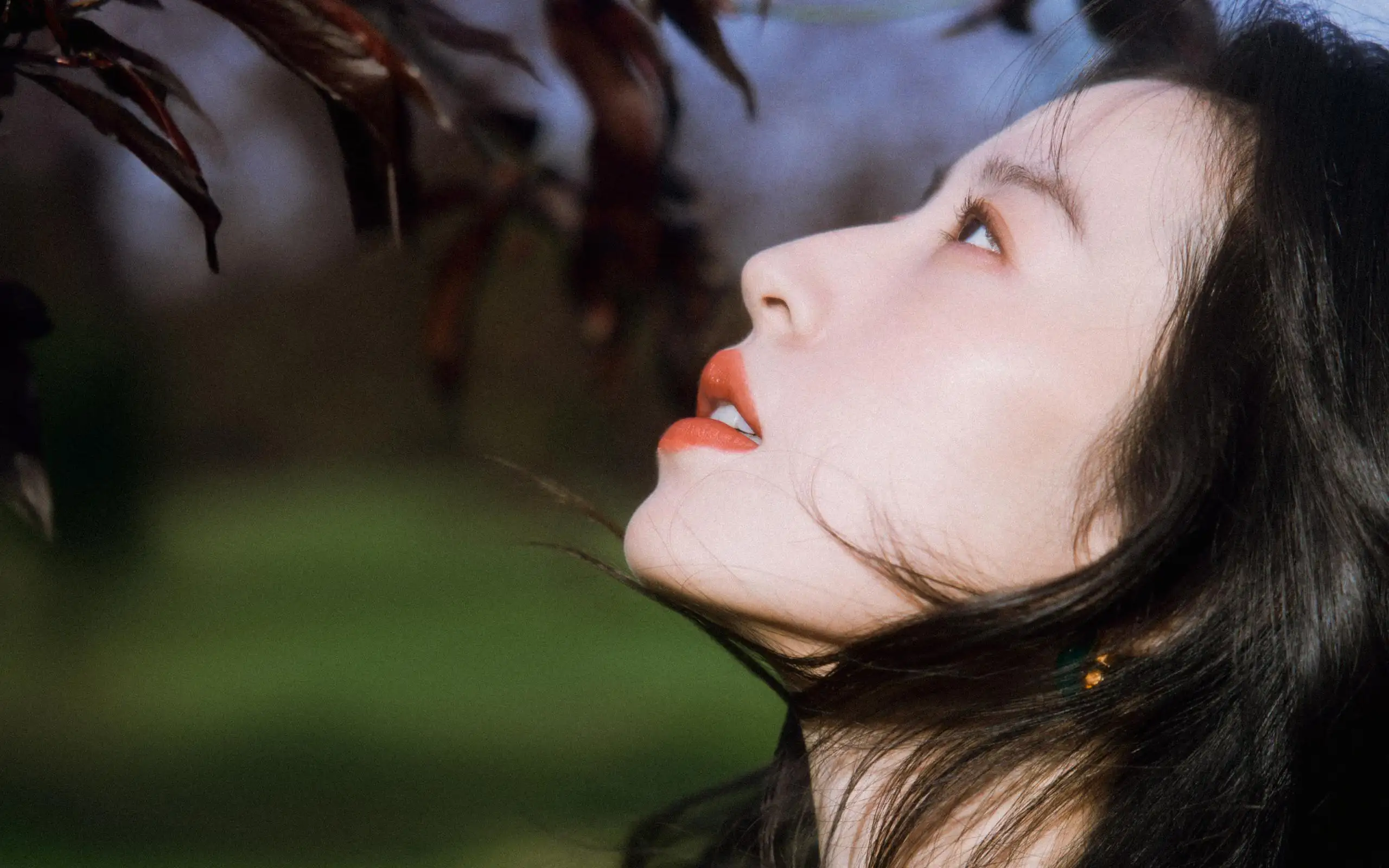 周雨彤 侧脸 美女壁纸 唯美