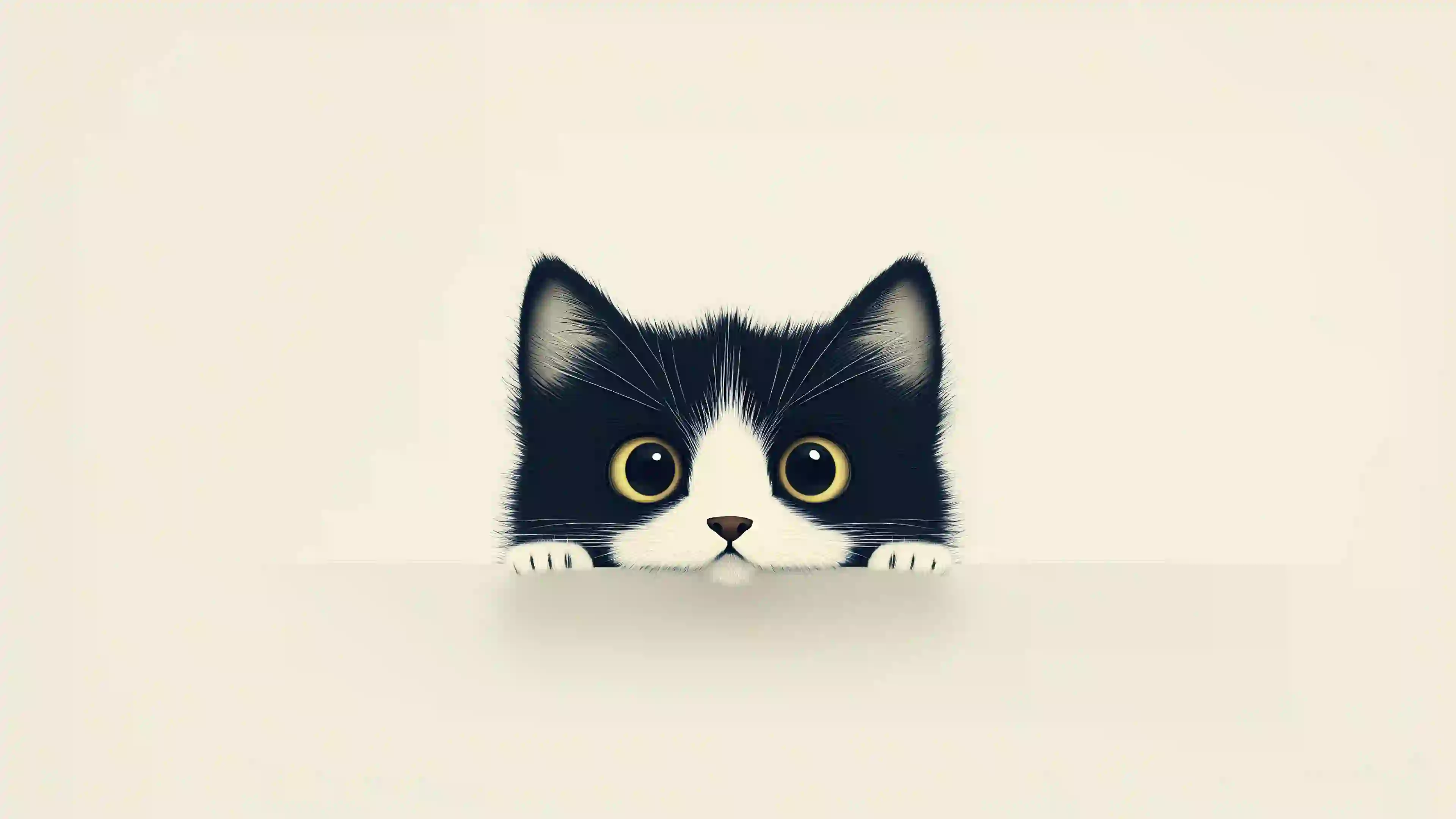 可爱小猫咪 猫咪 白色背景