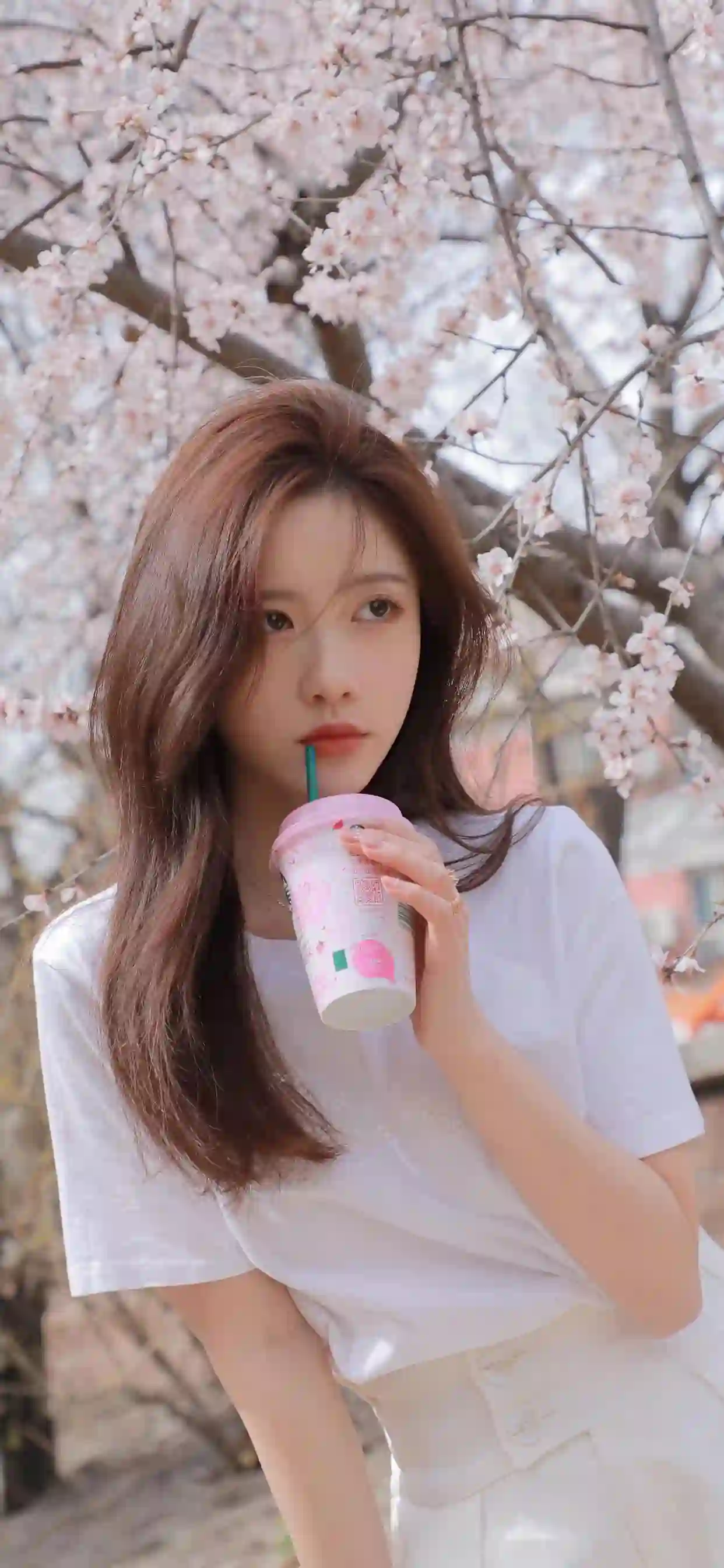 樱花树下喝奶茶的长发清纯美女