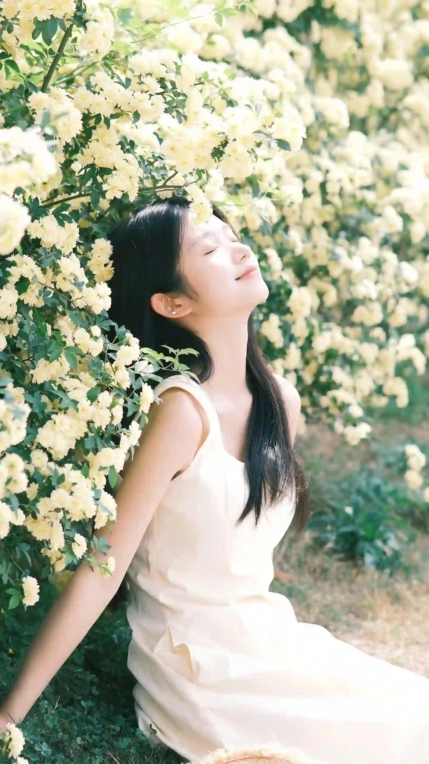 清纯少女 花丛 月季花 闭眼微笑 白色连衣裙 阳光治愈 人像摄影