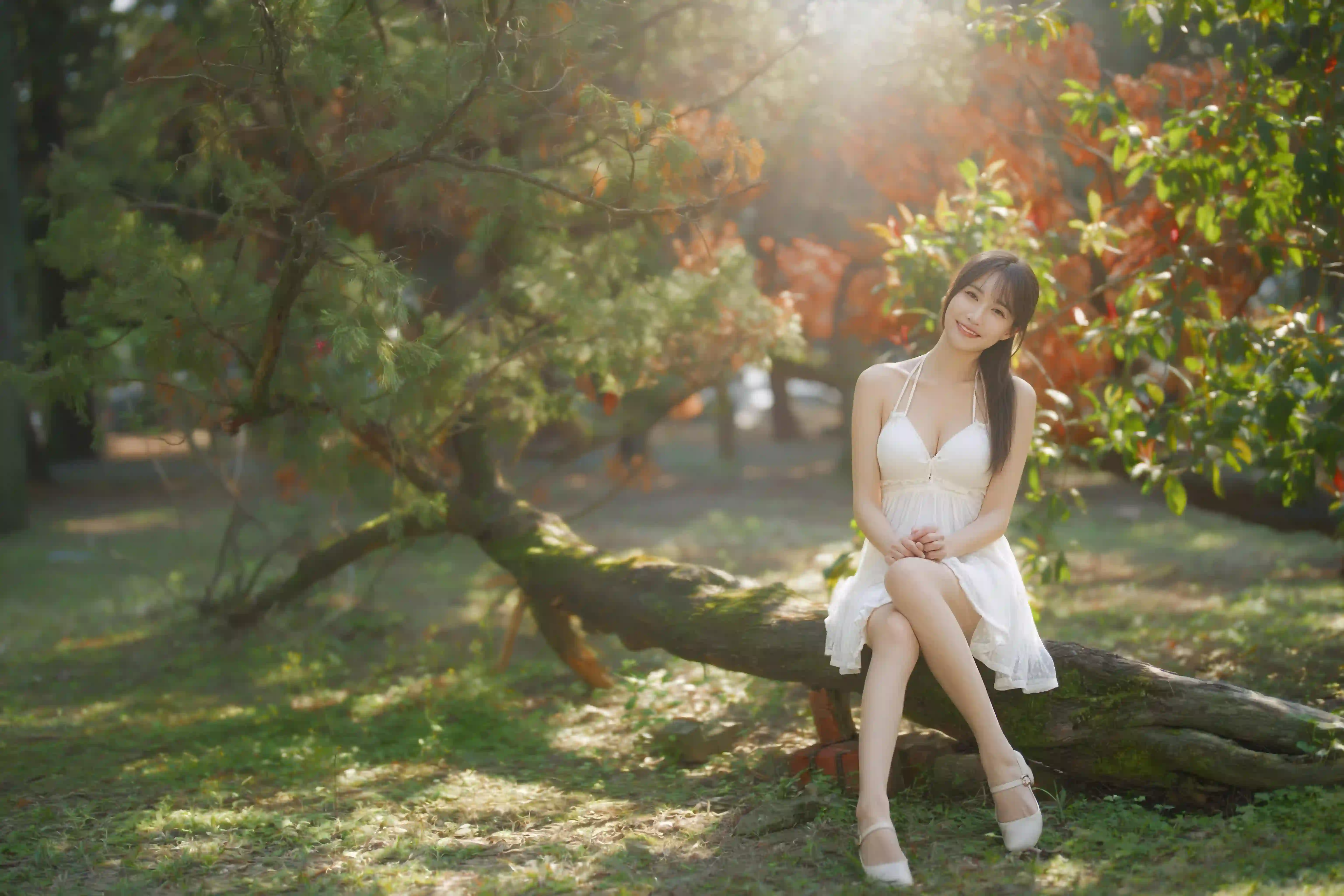 长发白裙女孩 户外写真 公园 阳光