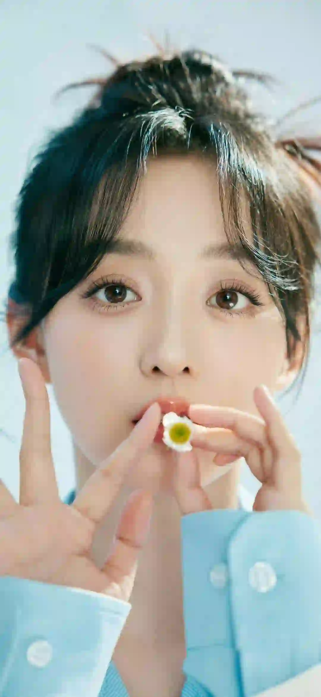 美女明星 何泓姗  可爱美女 花