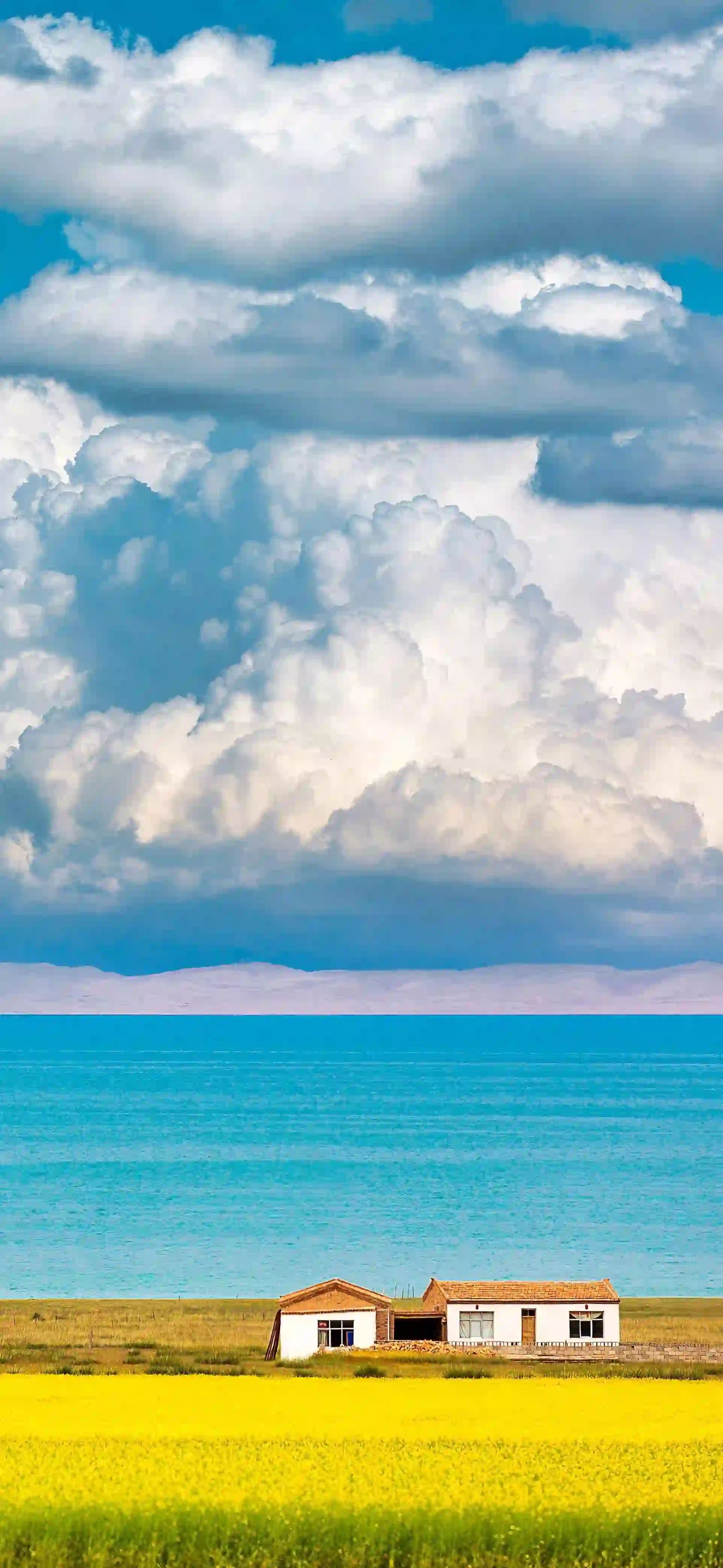 稻田 小屋 湖泊 白云