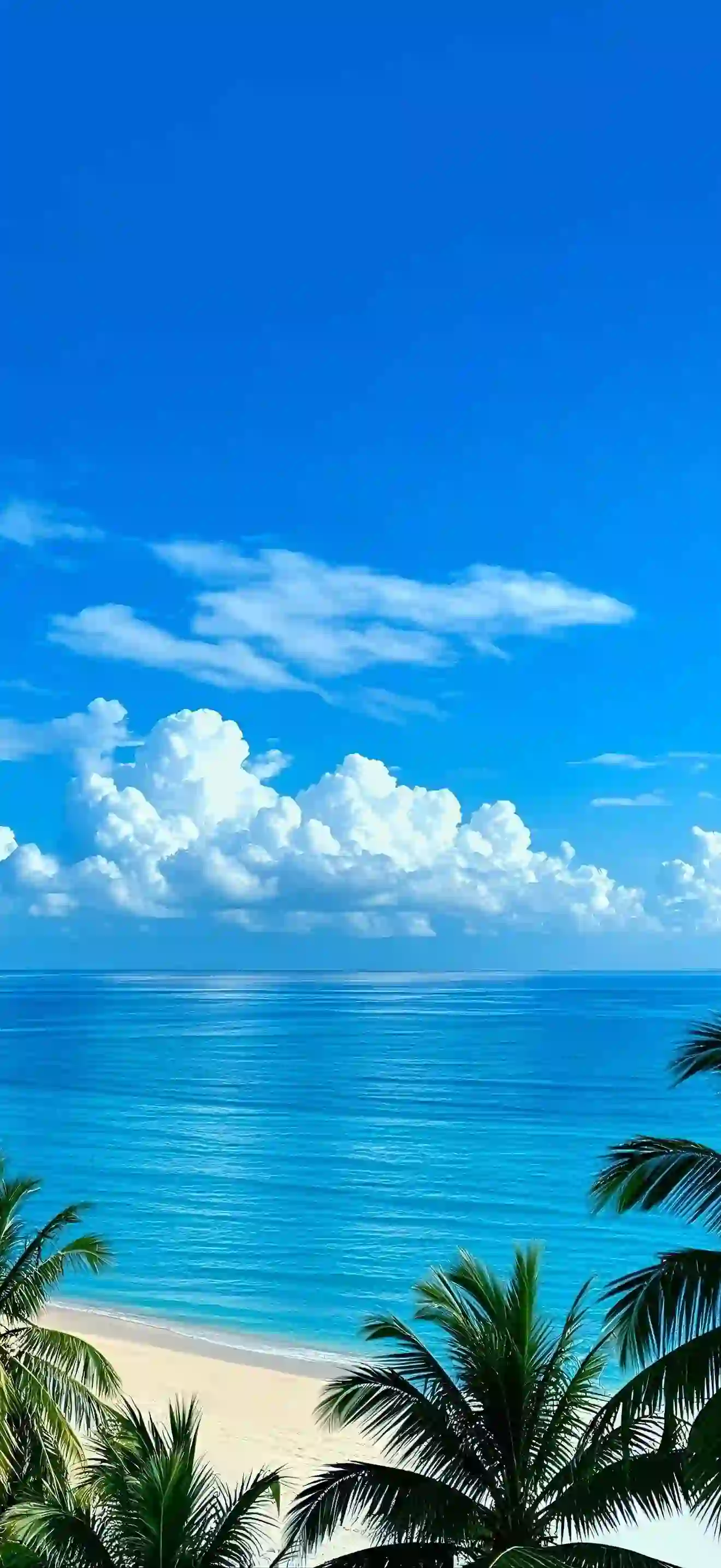 沙滩美景 椰子树