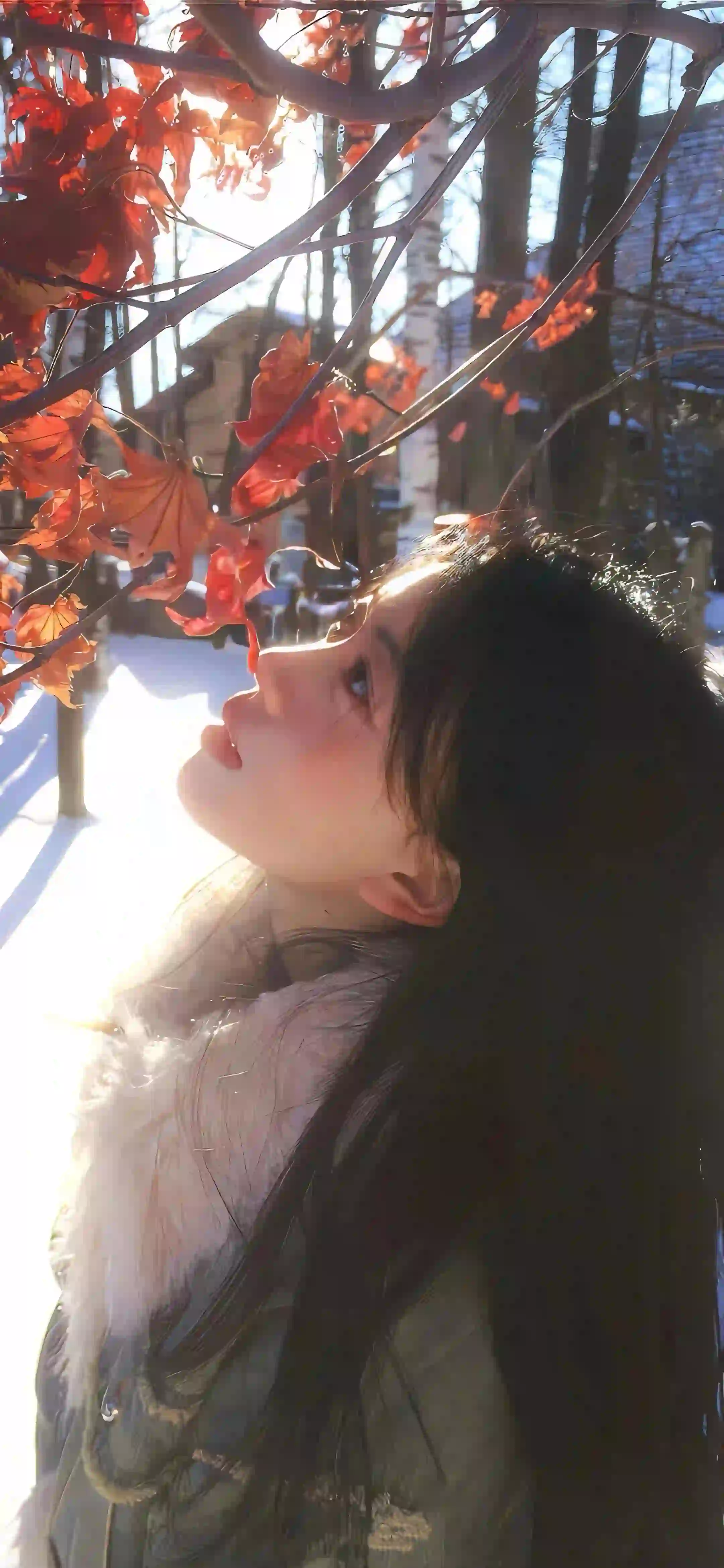 唯美 冬日 长发清纯美女 红色枫叶