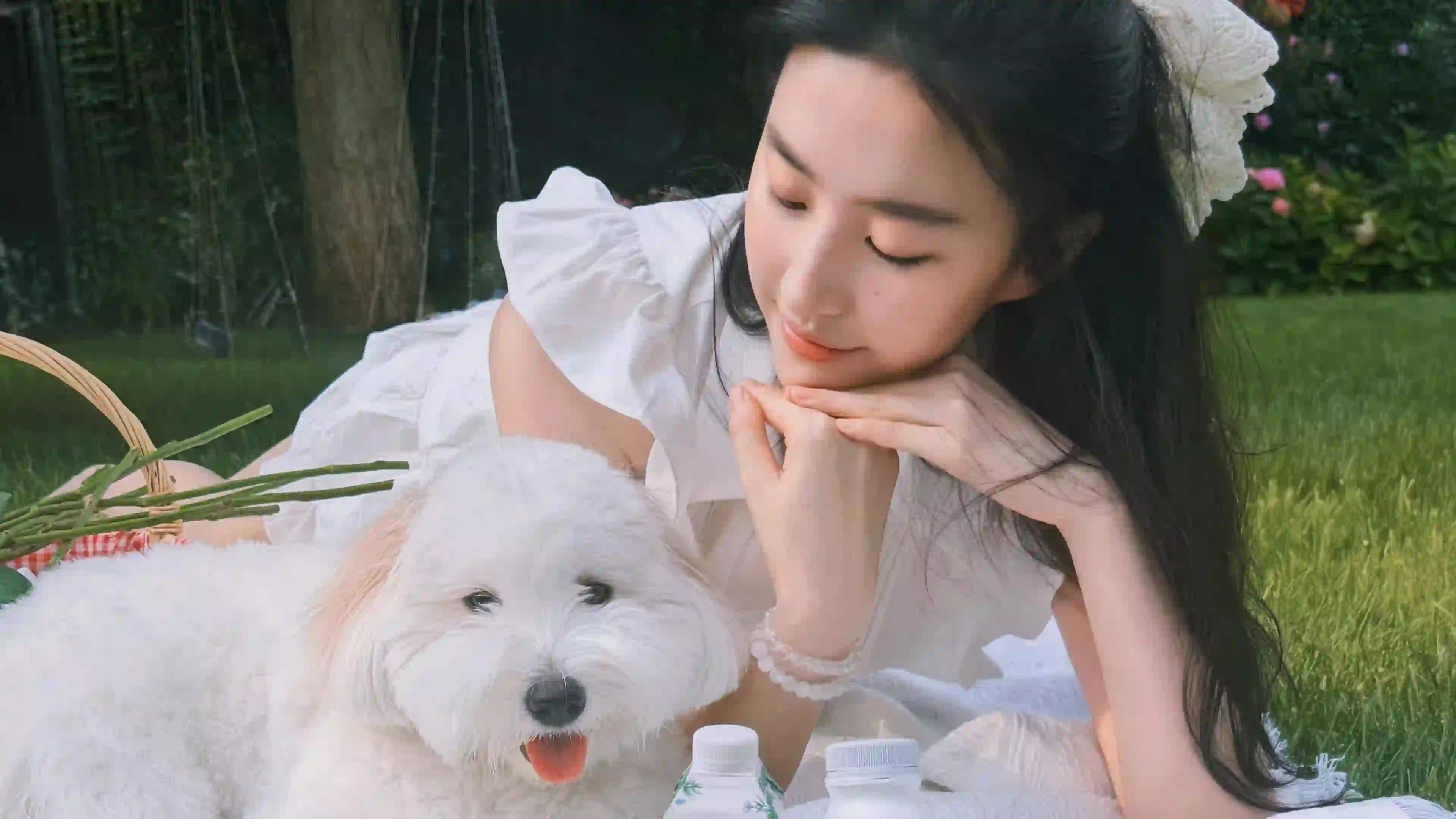 刘亦菲 公园 绿草地 长发美女 白色长裙 白色发饰