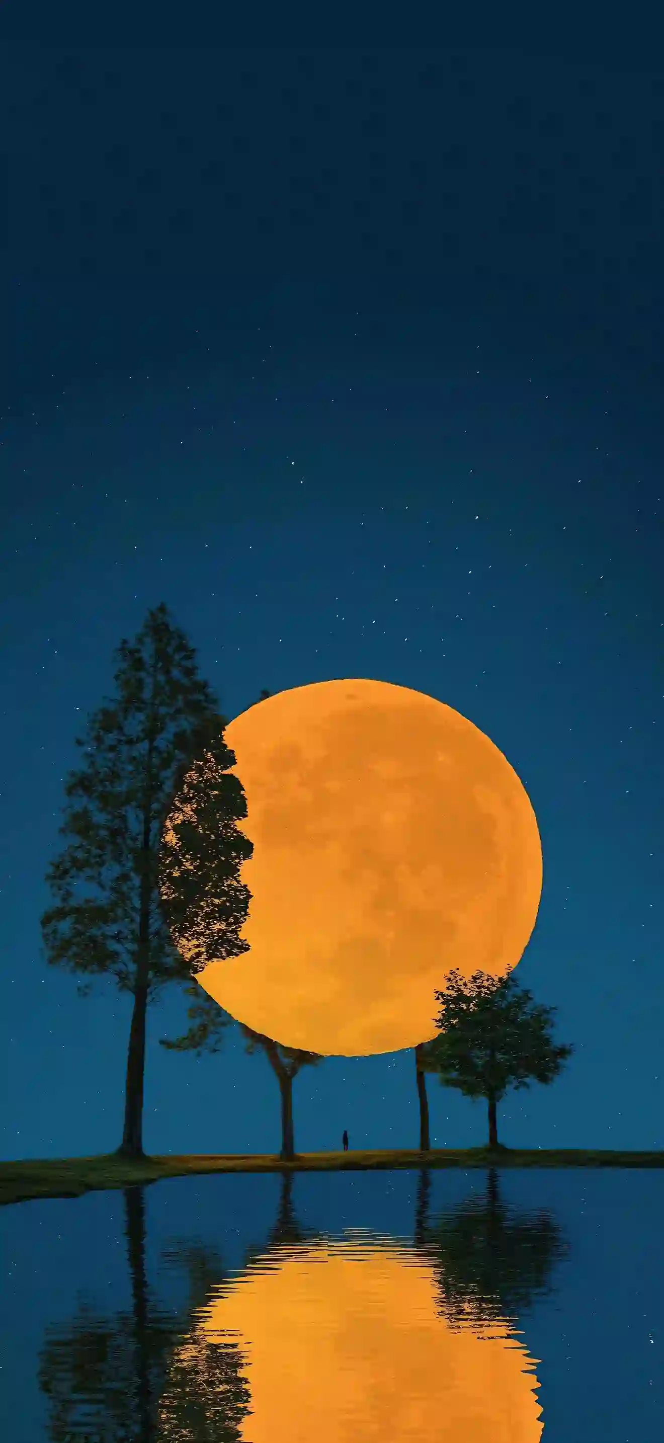 满月 夜空 星星 树木 湖泊 倒影 剪影