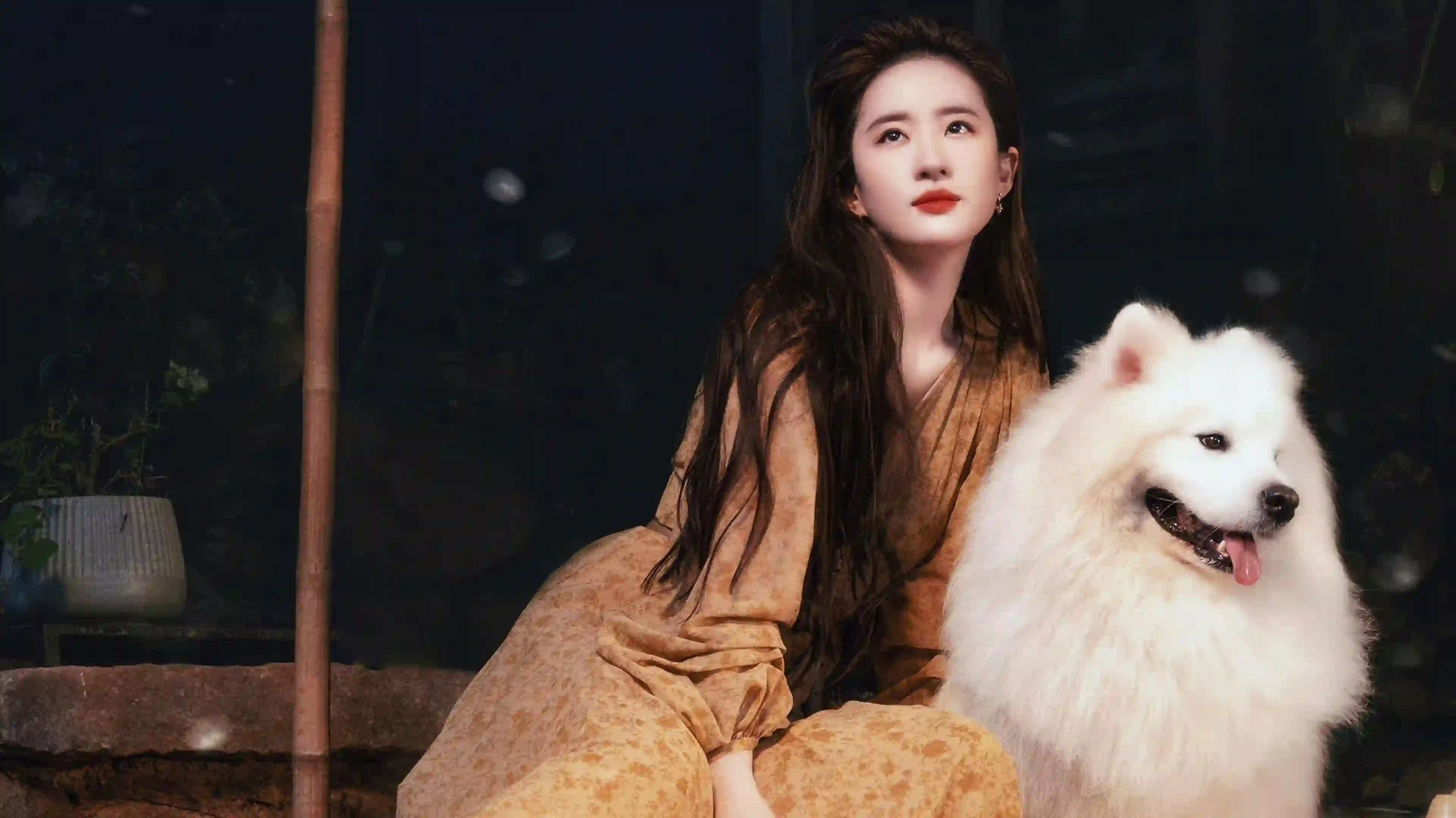 女性 萨摩耶 宁静 氛围 人像 治愈 刘亦菲