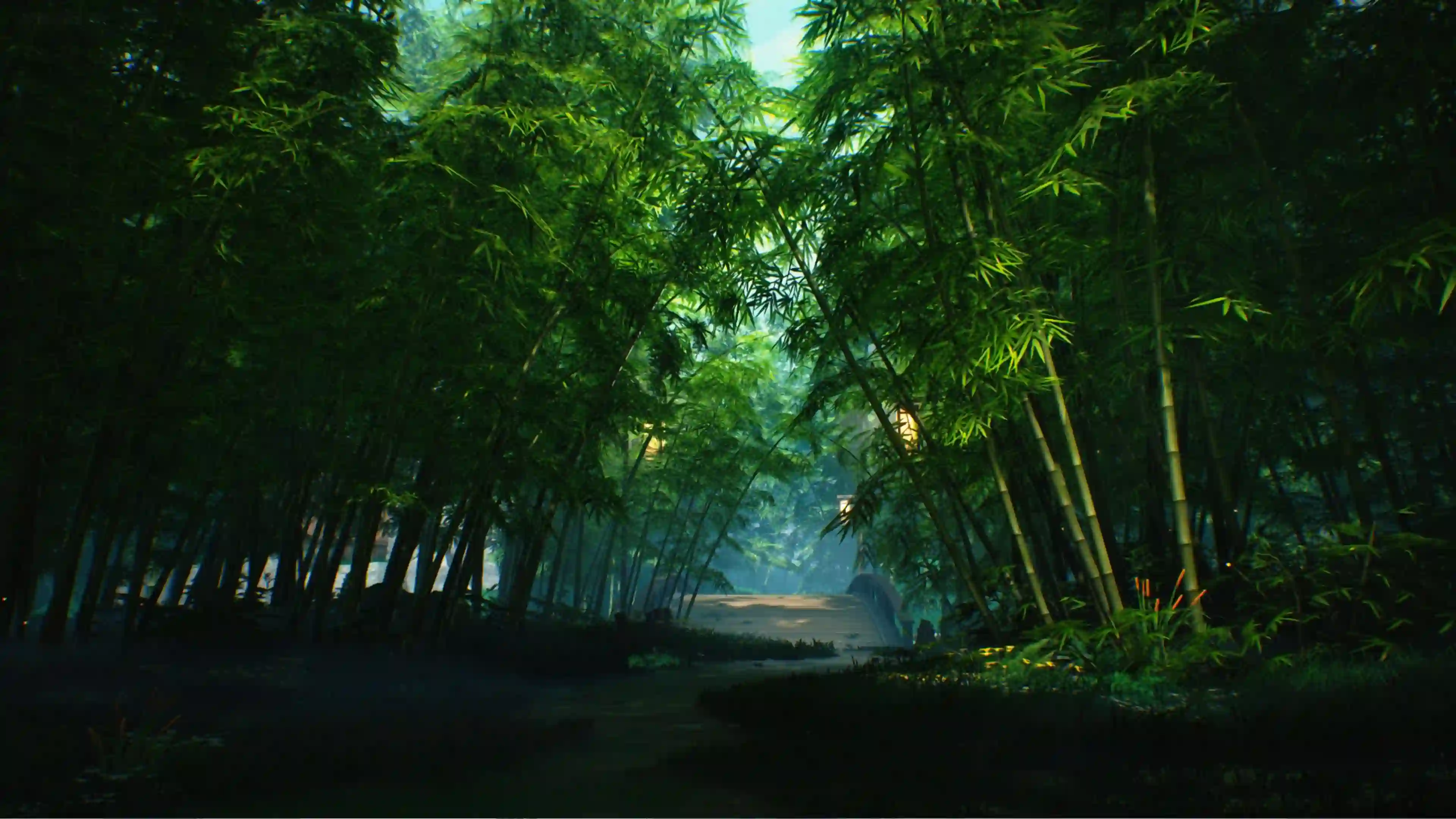 竹林 石桥 自然风景 绿色氛围 治愈风景