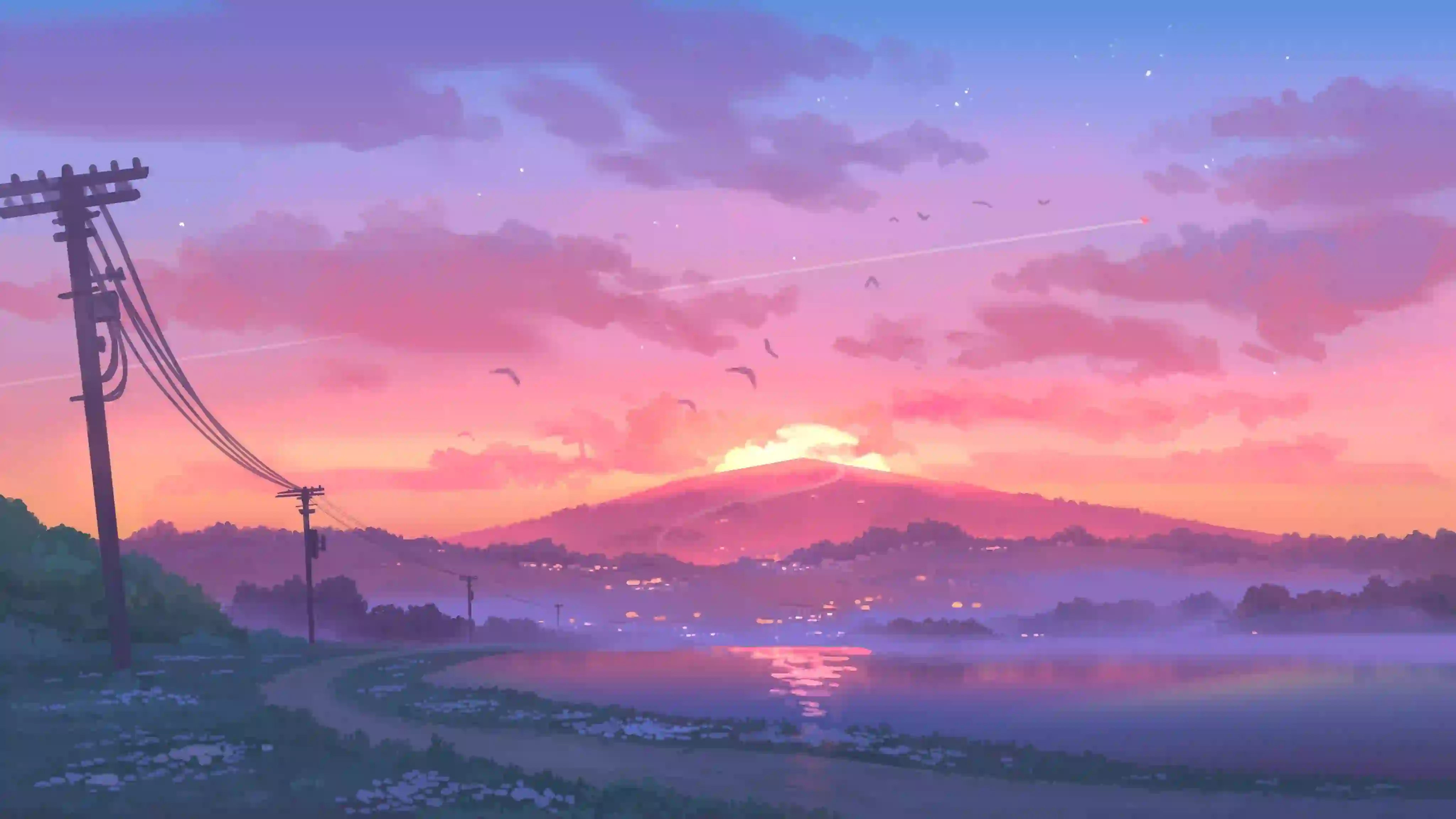 夕阳西下 水 鸟群