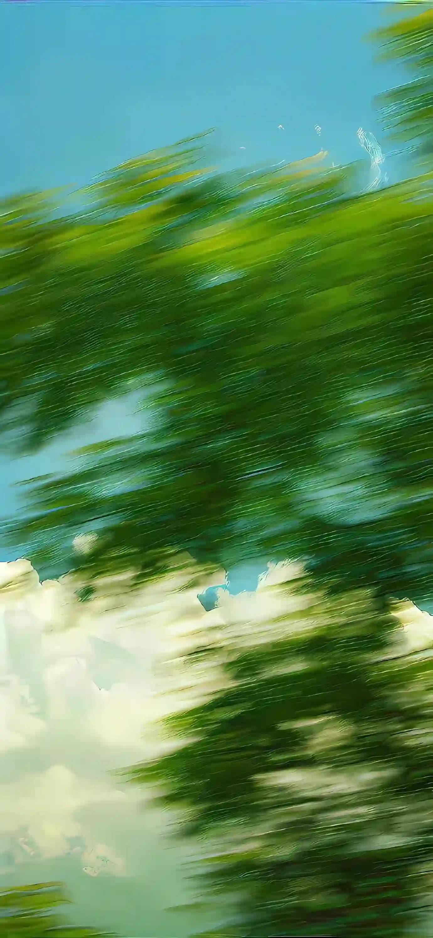 树叶 蓝天 风景 壁纸 自然 清新 动态