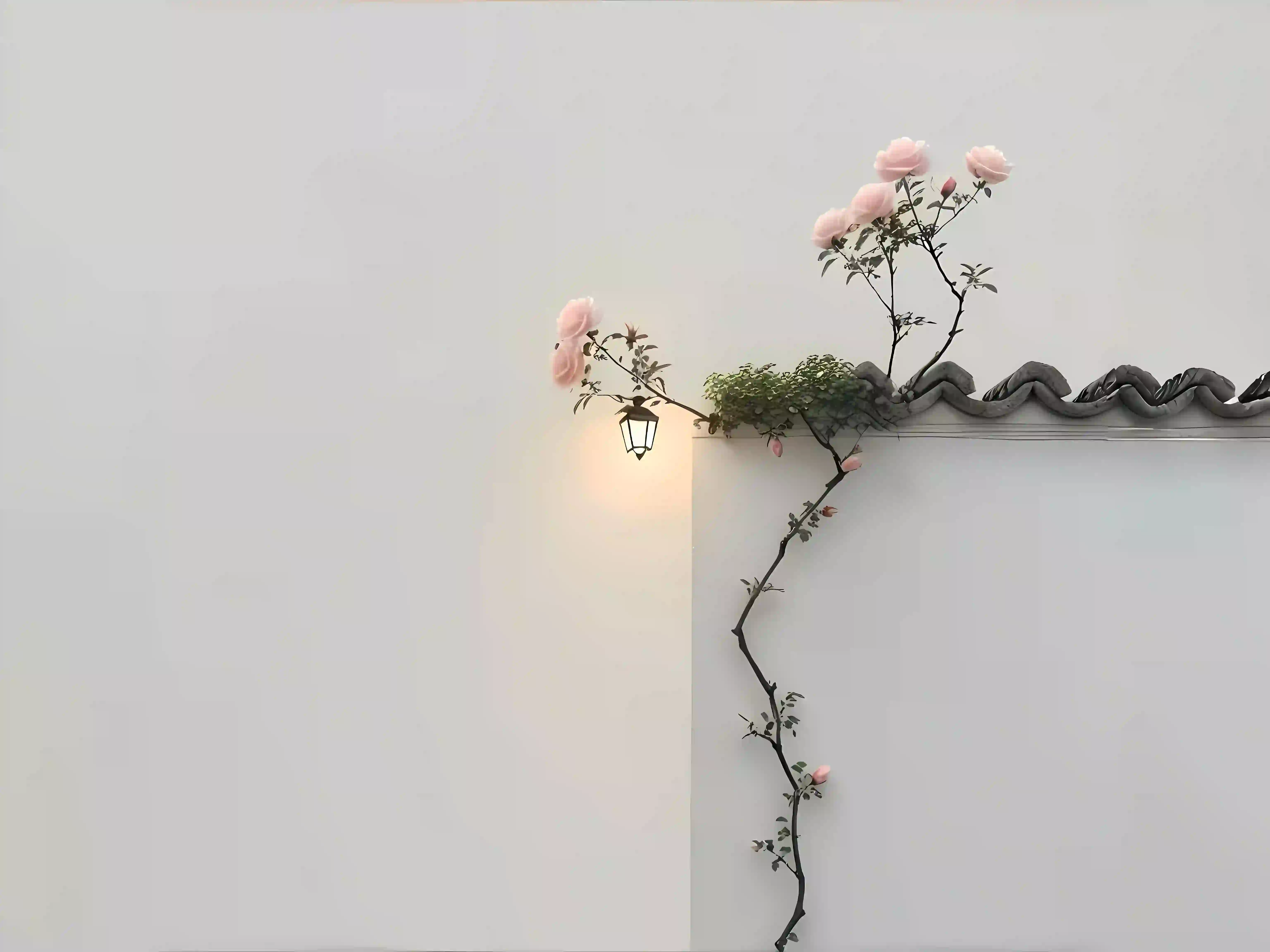 中式屋檐花 白色墙壁