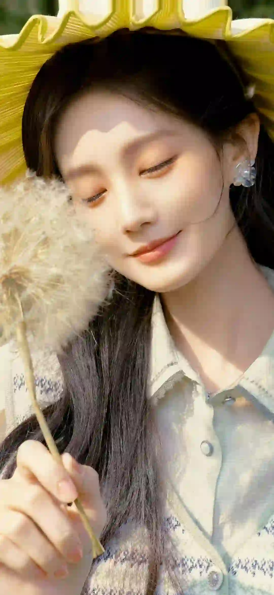 蒲公英 李一桐 微笑