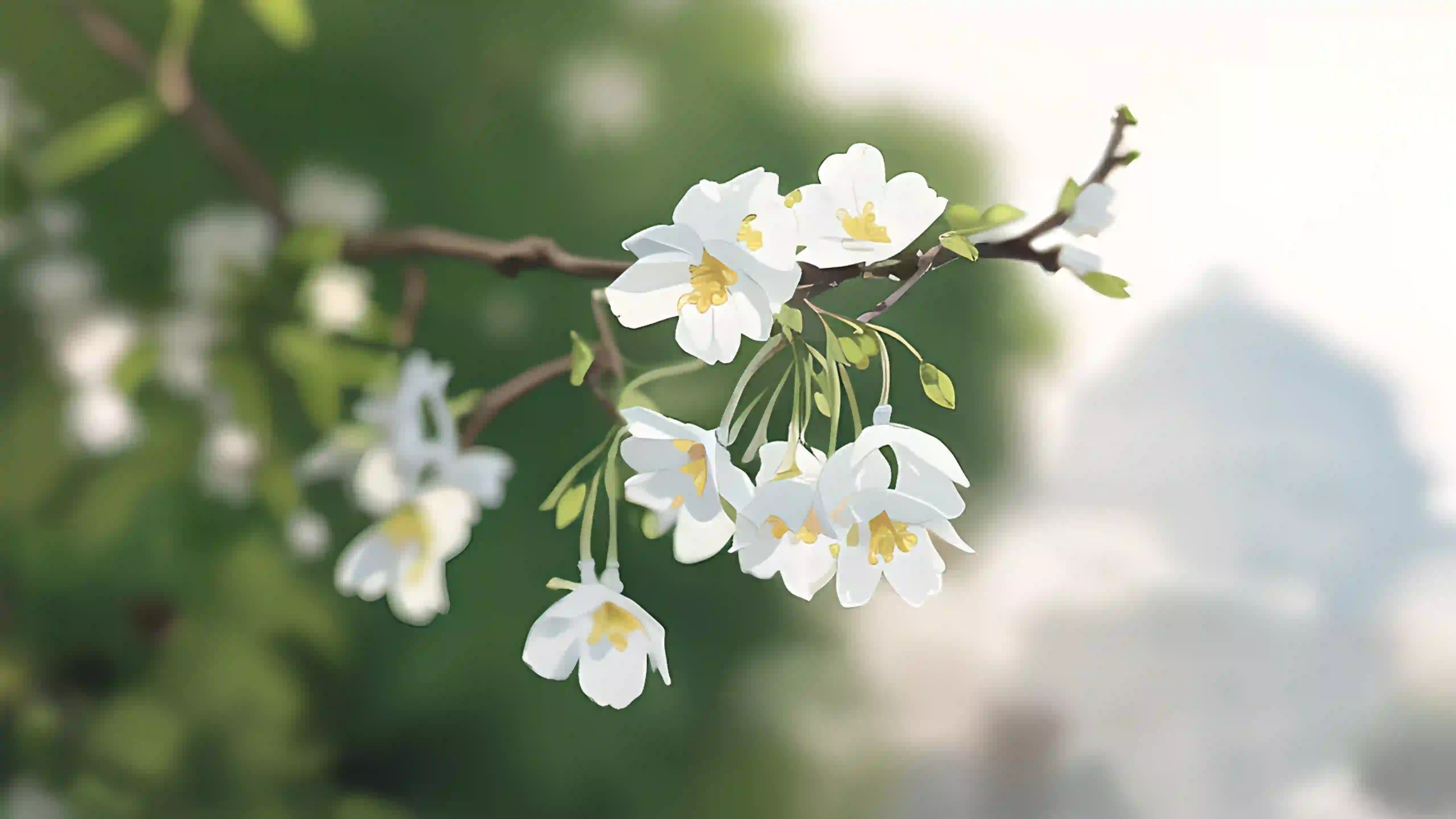 繁花 花朵 春意盎然 花