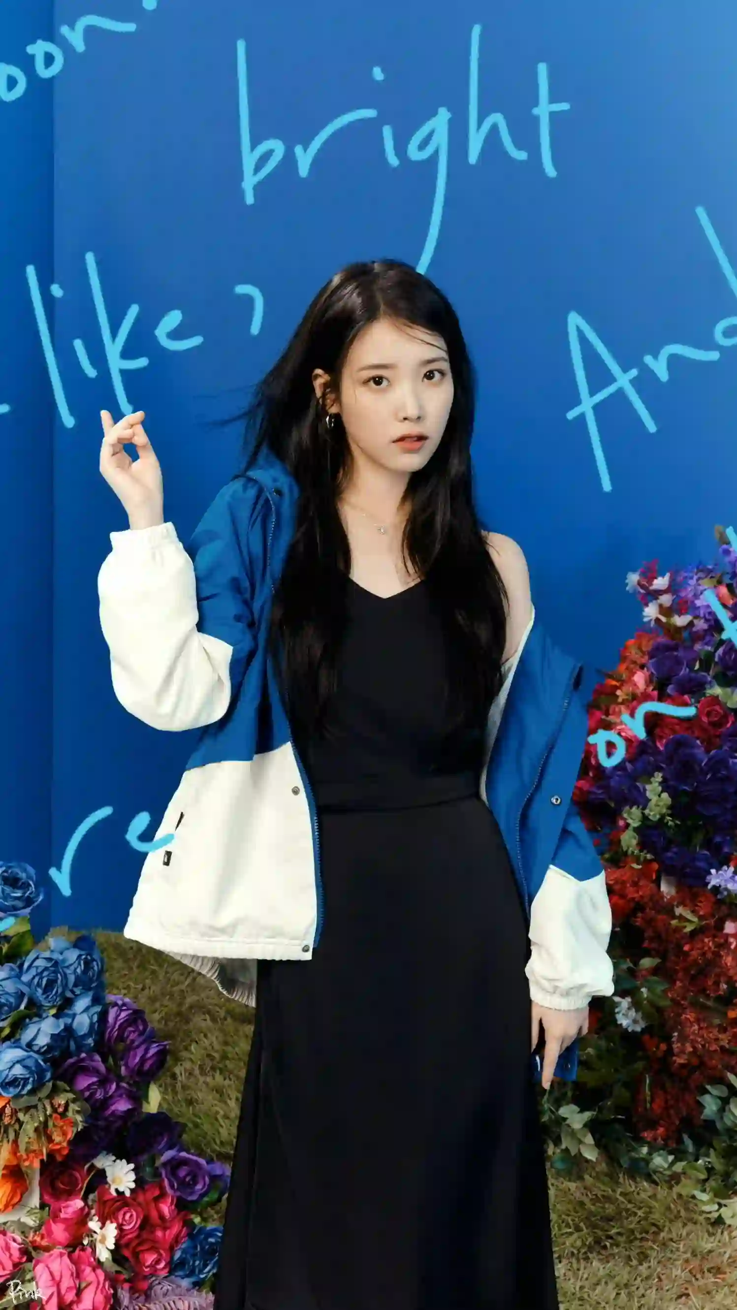 美女明星 韩国明星 IU 李知恩 黑色长裙 蓝白拼色外套 蓝色背景墙