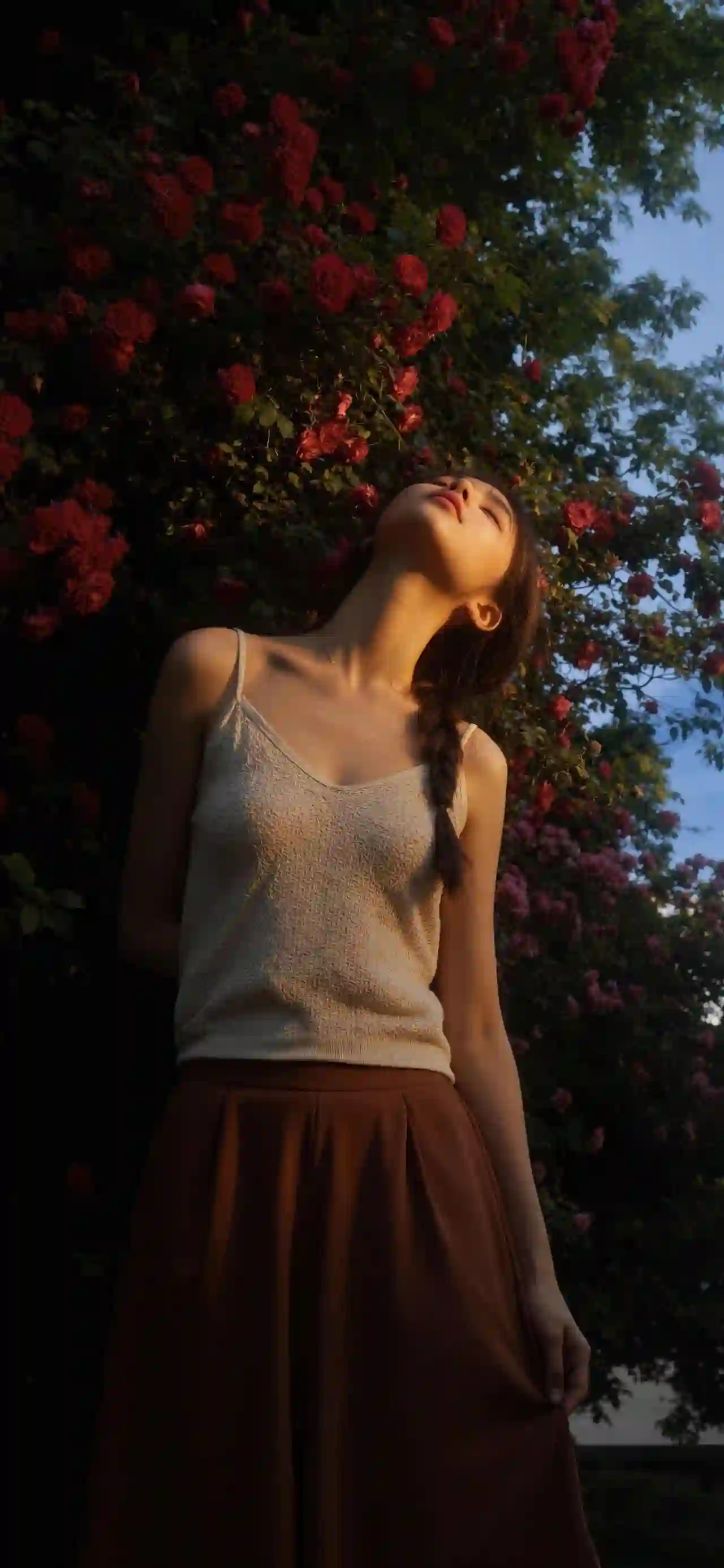 晚霞余晖 性感美女 户外 性感吊带 唯美