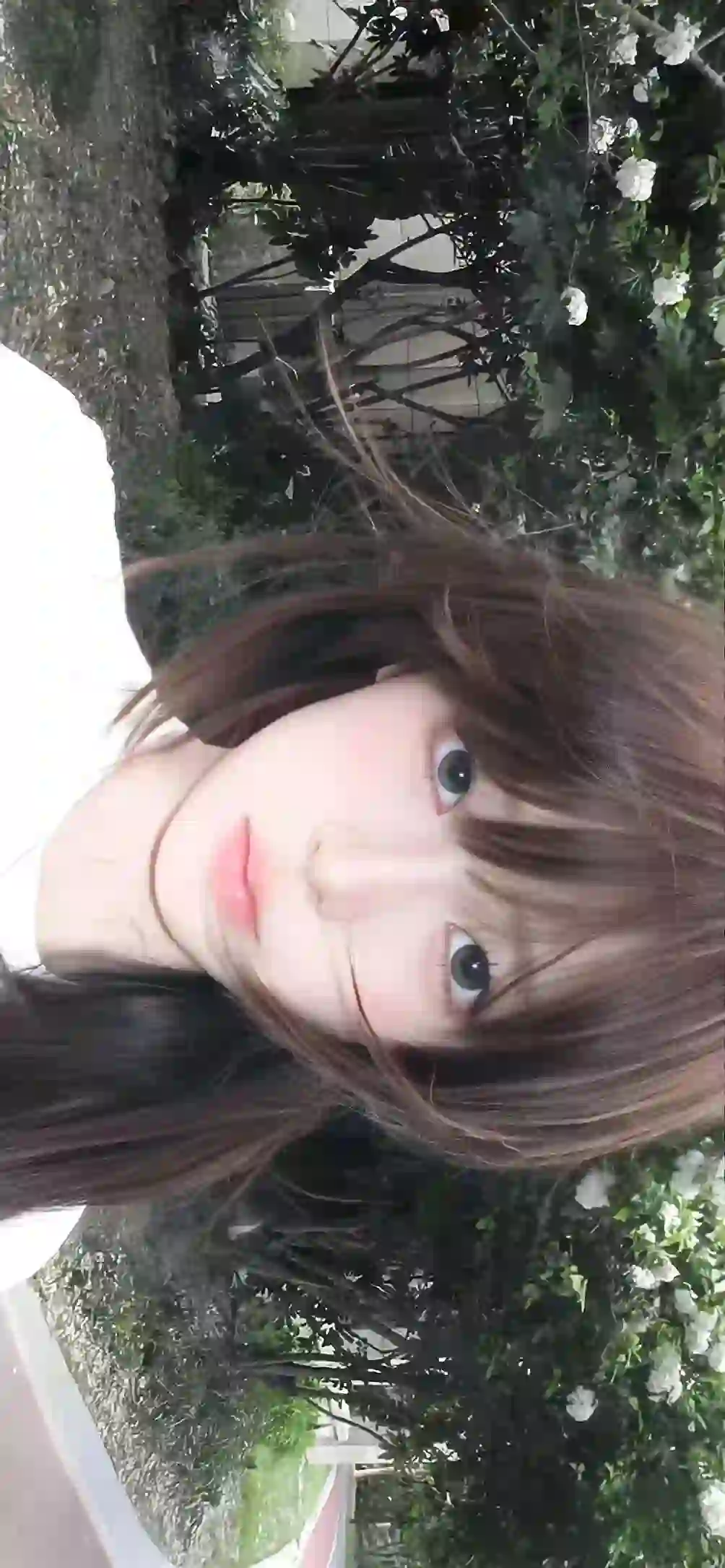 长发美女 可爱 清纯 