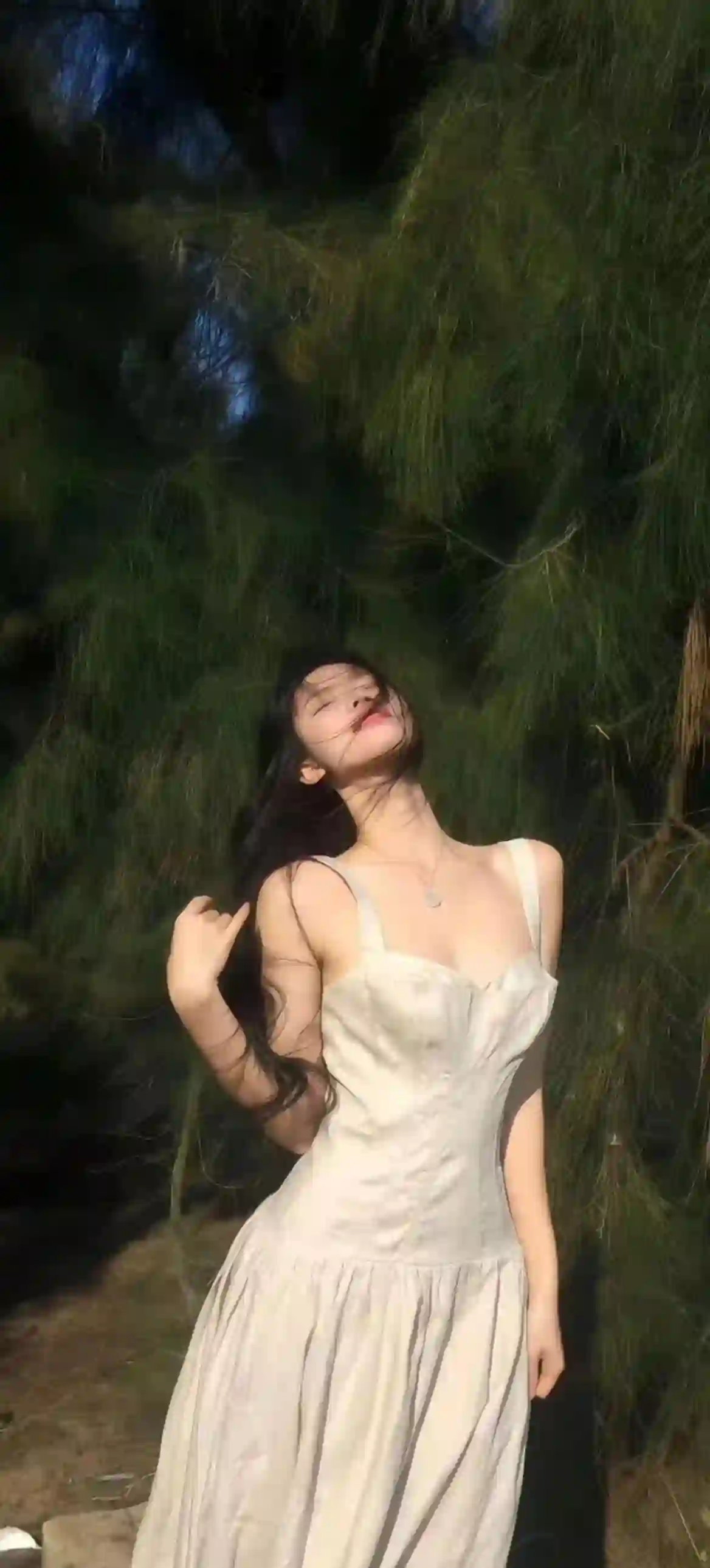 白裙少女 阳光树影 逆光 长发 优雅 写真