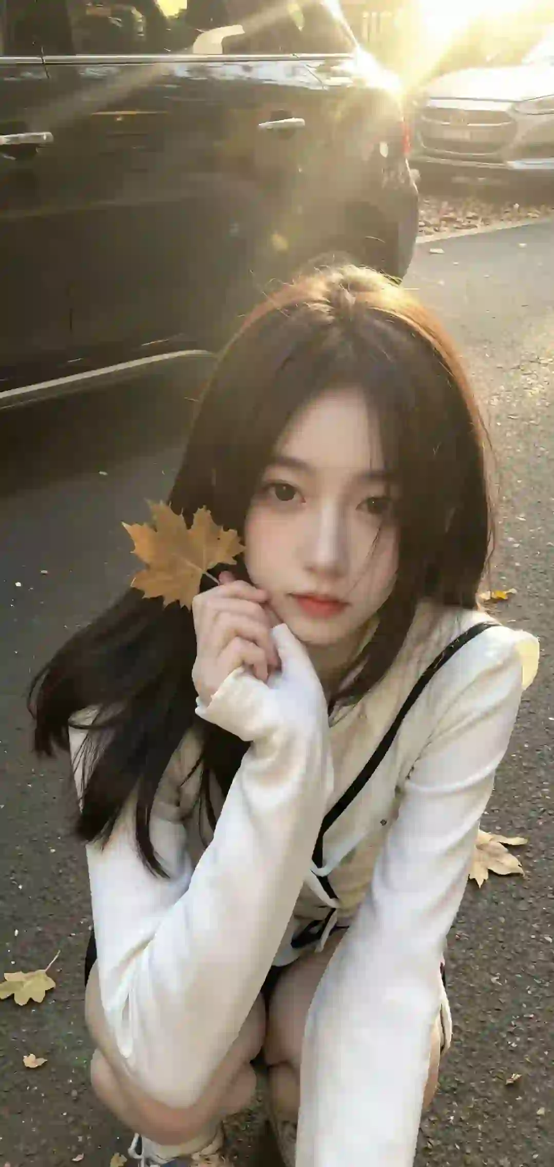 美女 长发美女 黄色树叶 枫叶 户外 阳光