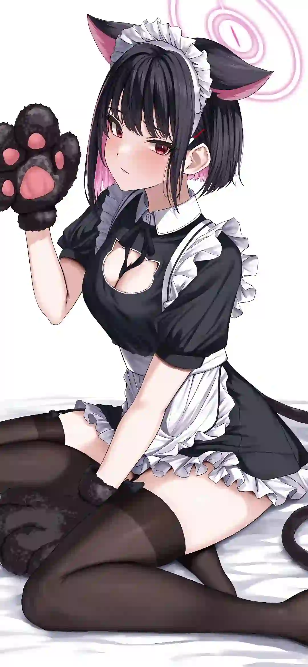 动漫女孩 猫耳女孩 女仆 黑丝美腿