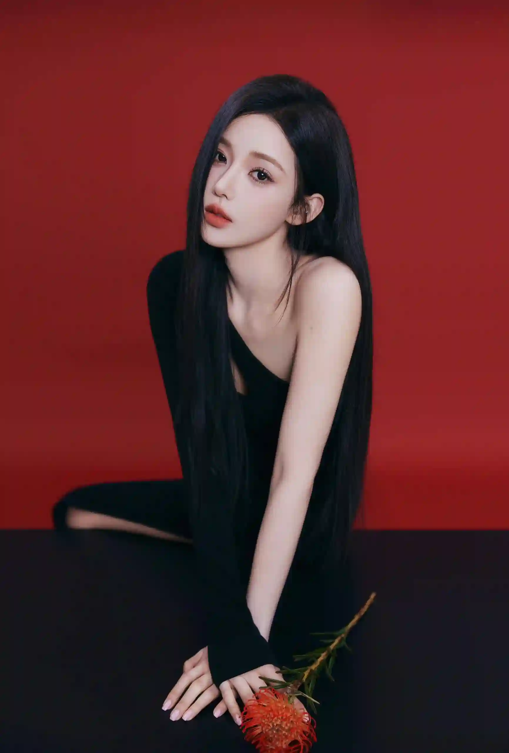 红色背景 长发美女 玫瑰女孩 黑裙美女 长腿美女