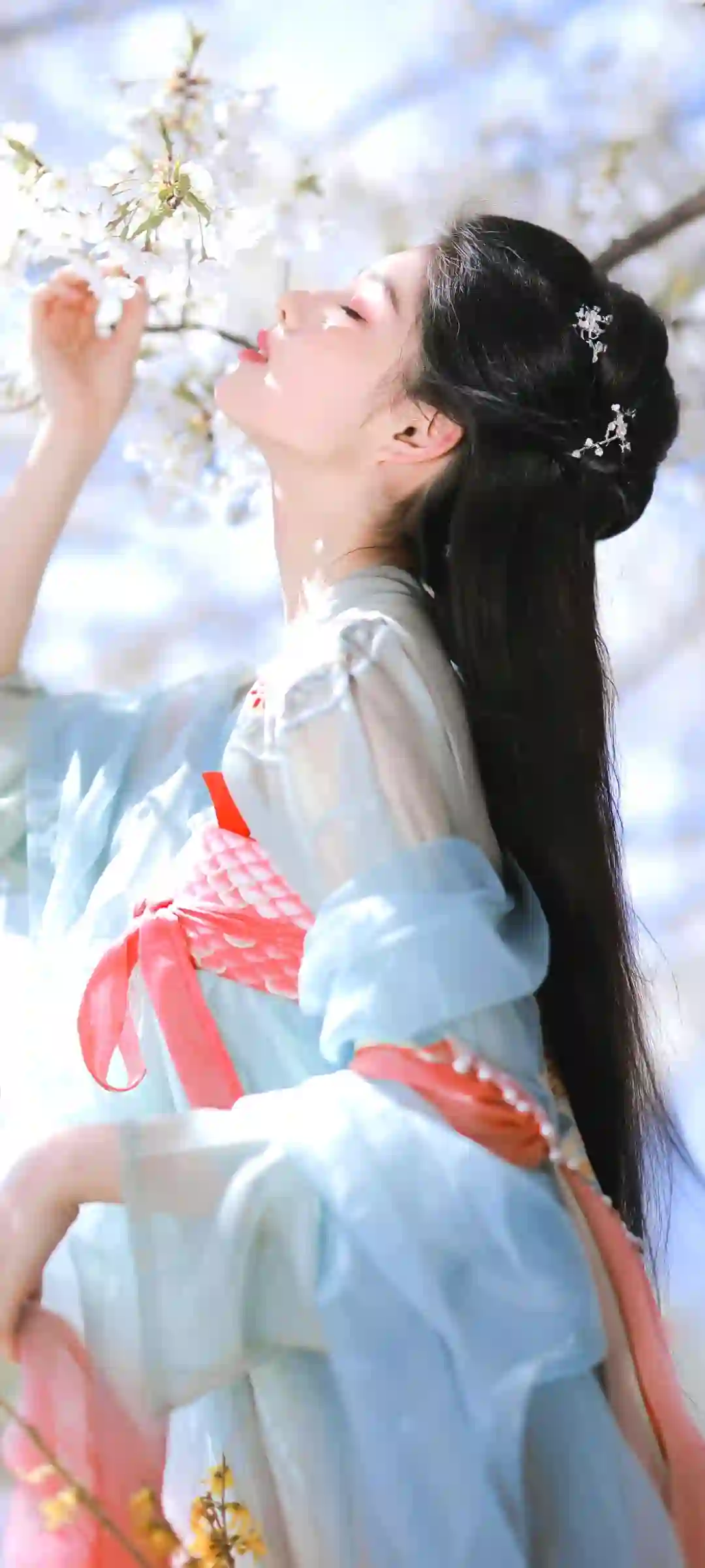 美女 长发美女 古风汉服美女 白色花朵
