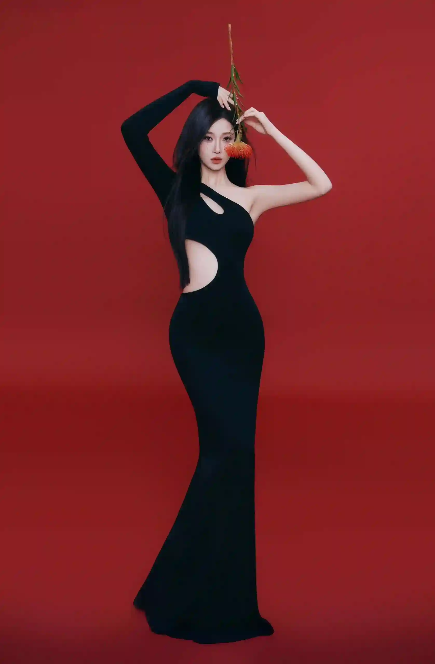 红色背景 长发美女 玫瑰女孩 黑裙美女 长腿美女